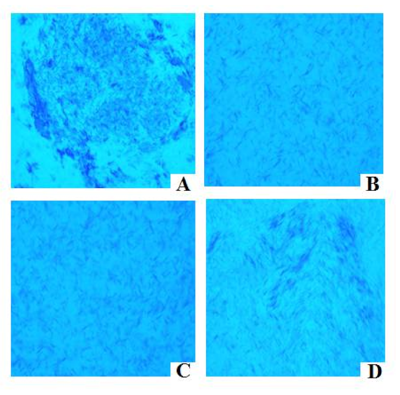 Energies 14 04703 g004