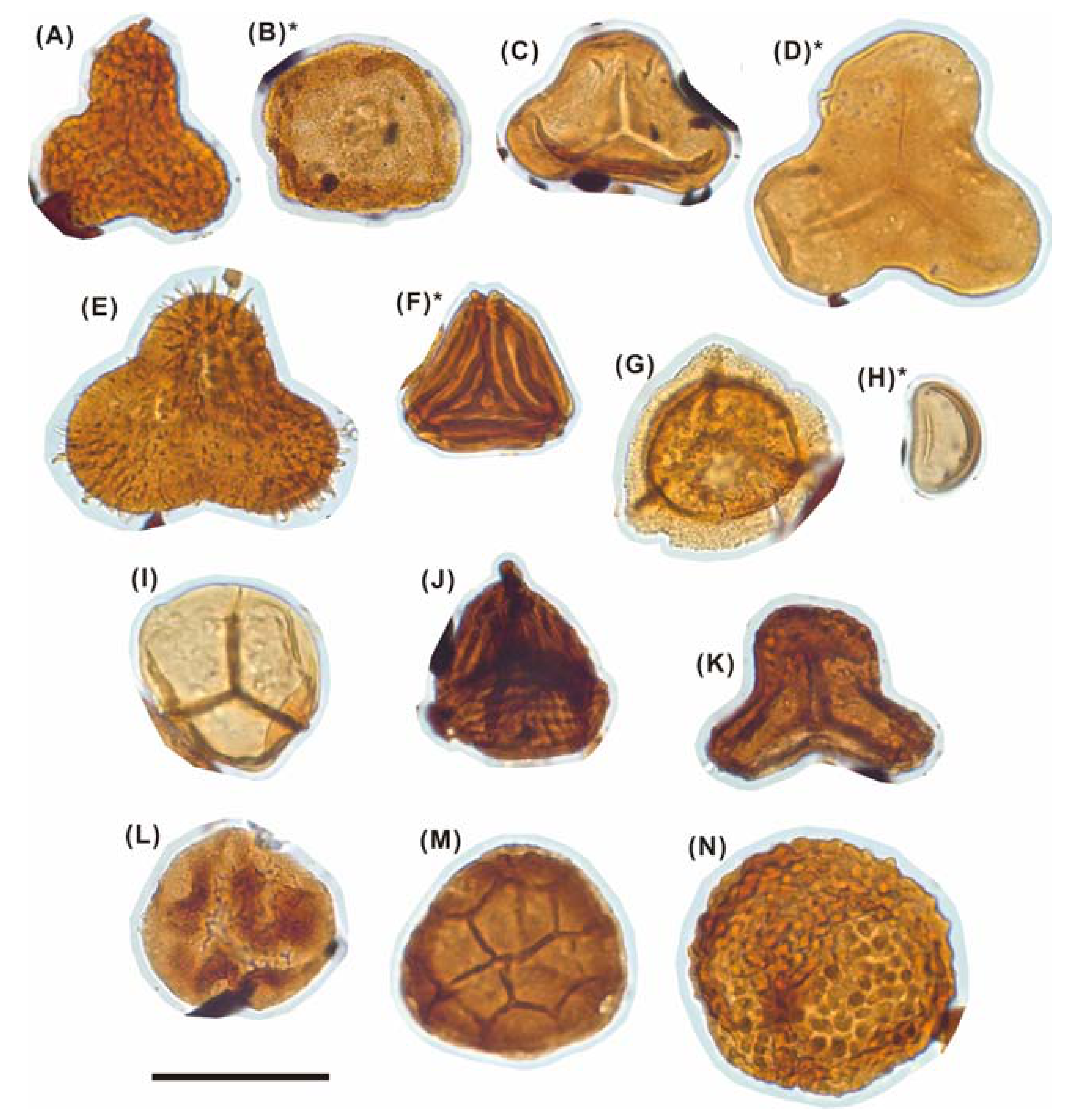 Energies 14 04704 g005