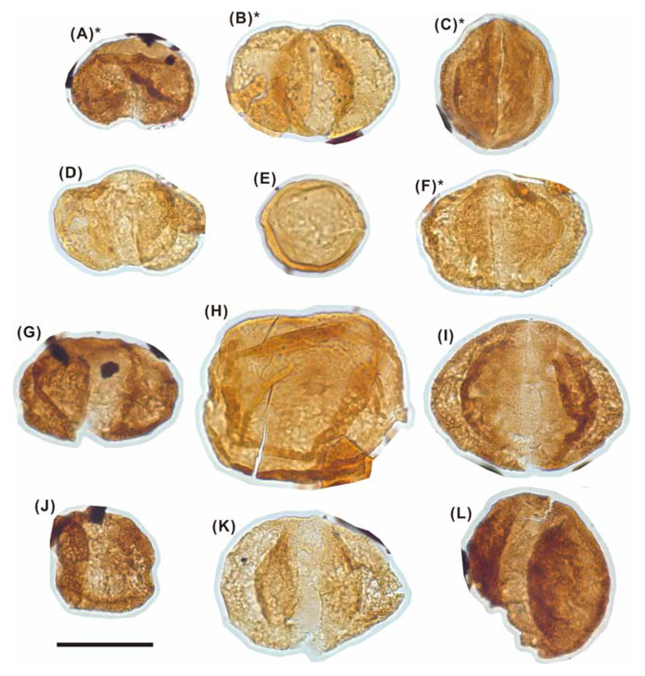 Energies 14 04704 g006