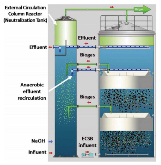 A Review of the State of the Art of Biomethane Production