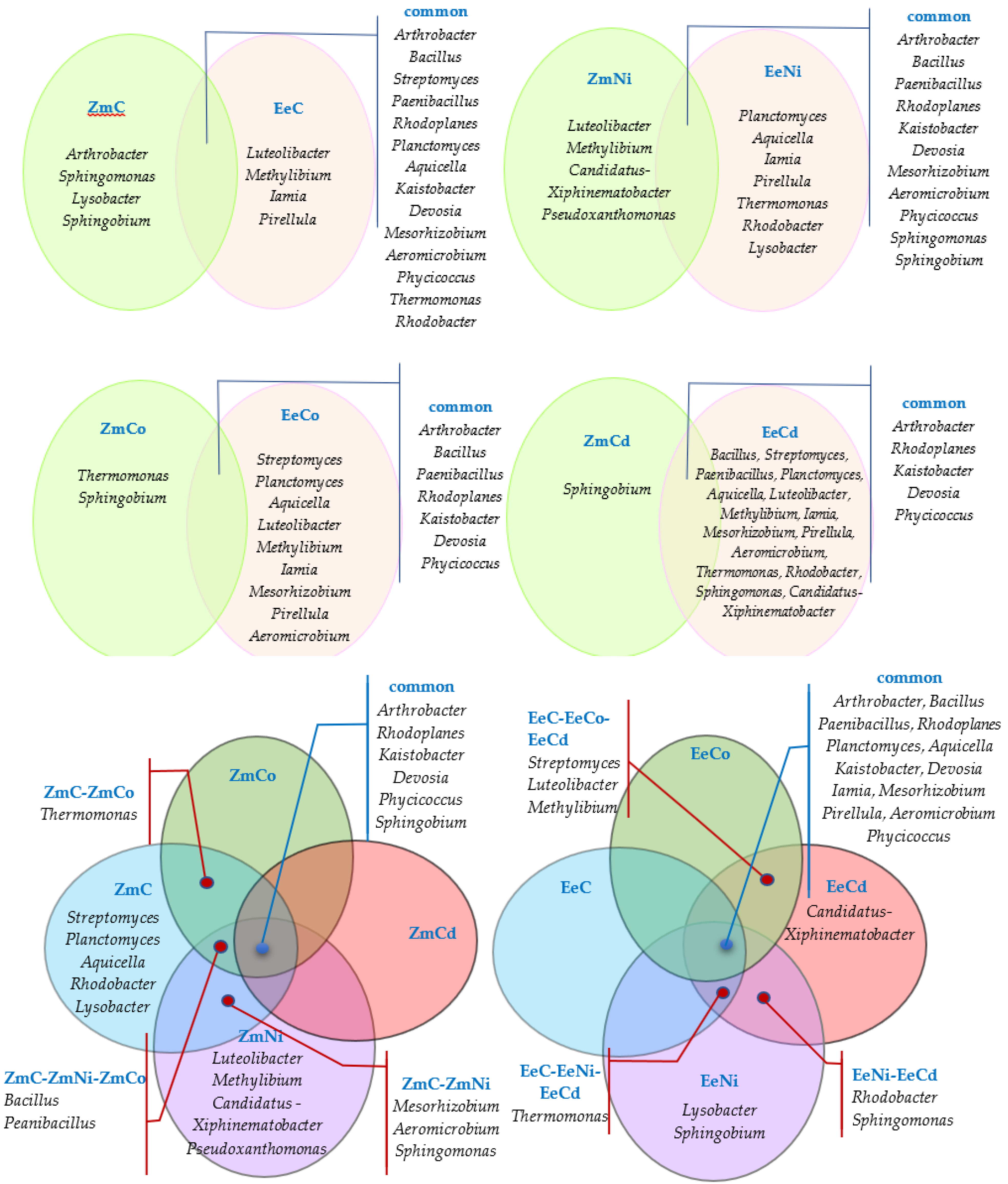 Energies 14 04903 g009 Energies 14 04903 g009