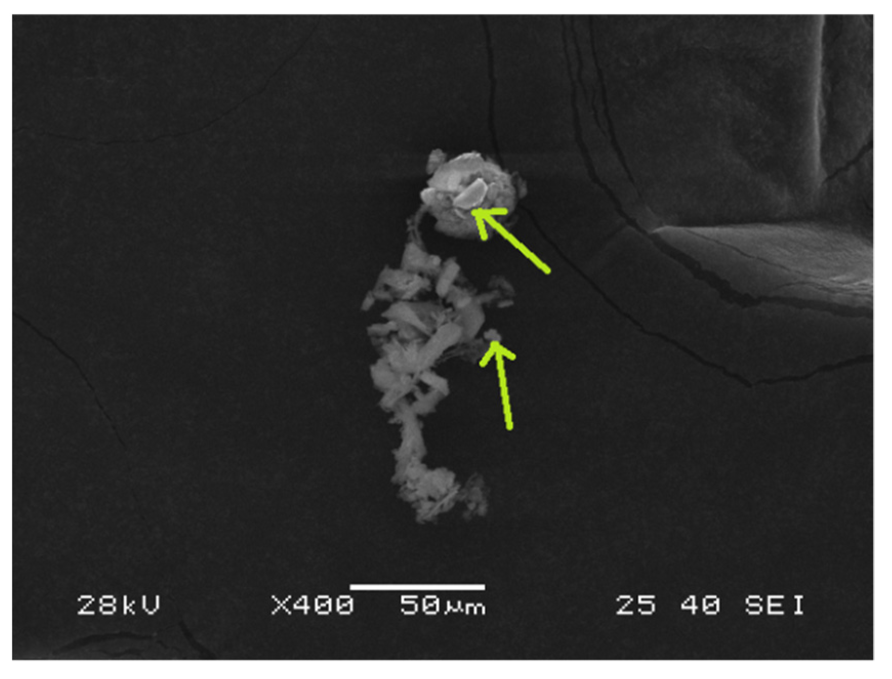 Energies 14 04921 g002