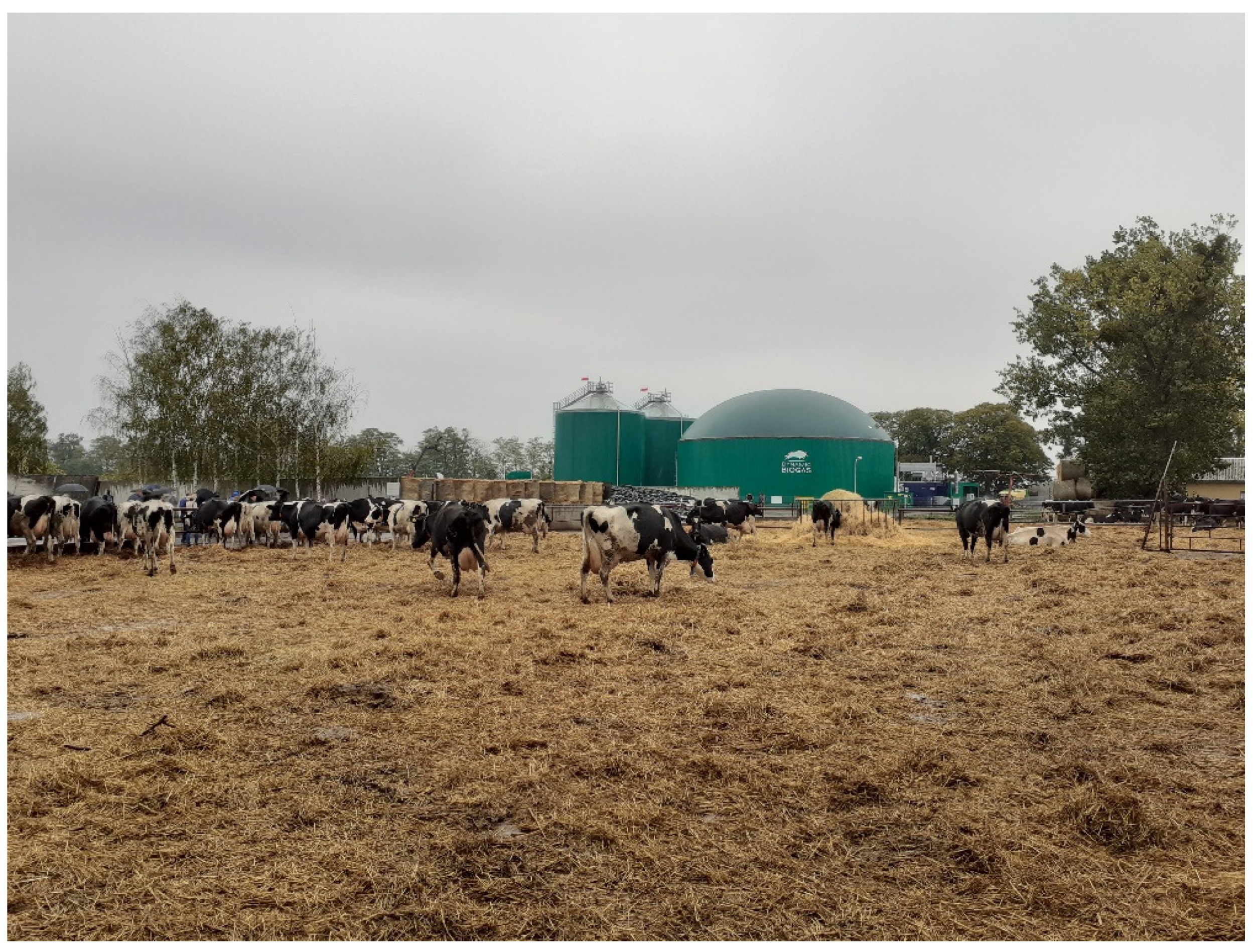 Energies 14 05034 g001 550