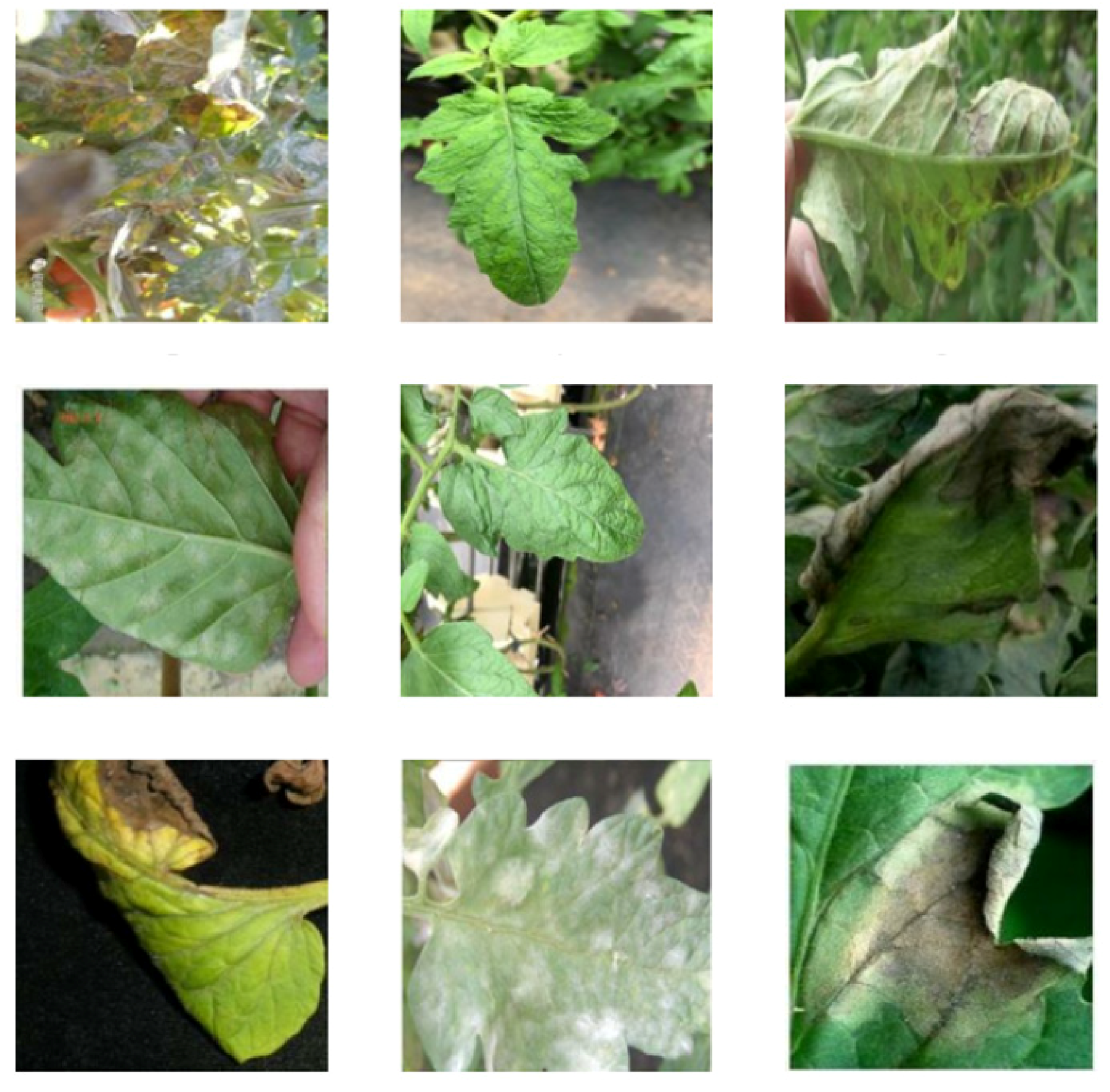 Energies 14 05045 g012 550