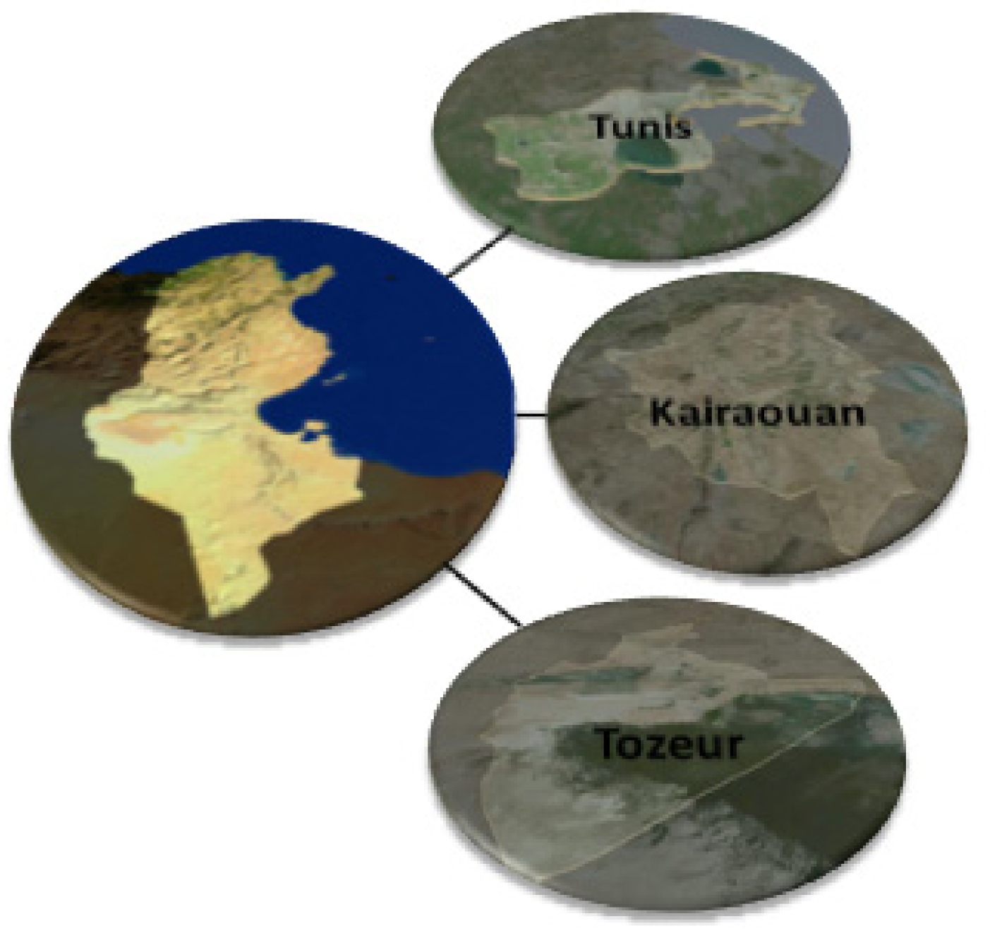 Energies 14 05217 g007