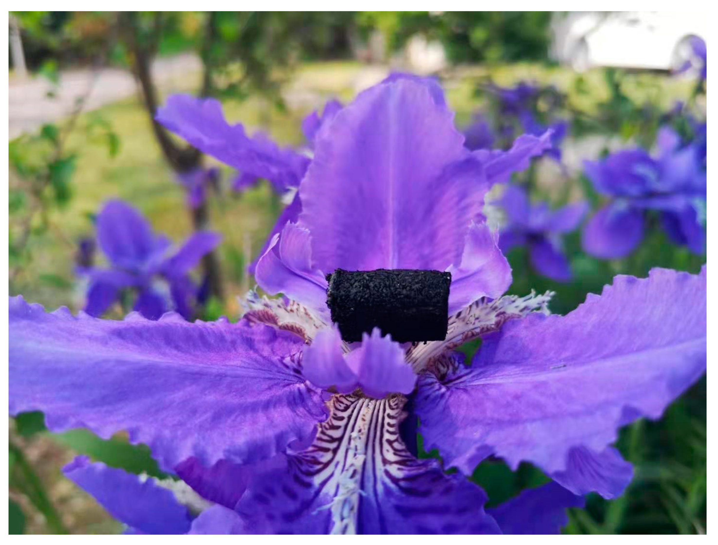 Energies 14 05283 g002