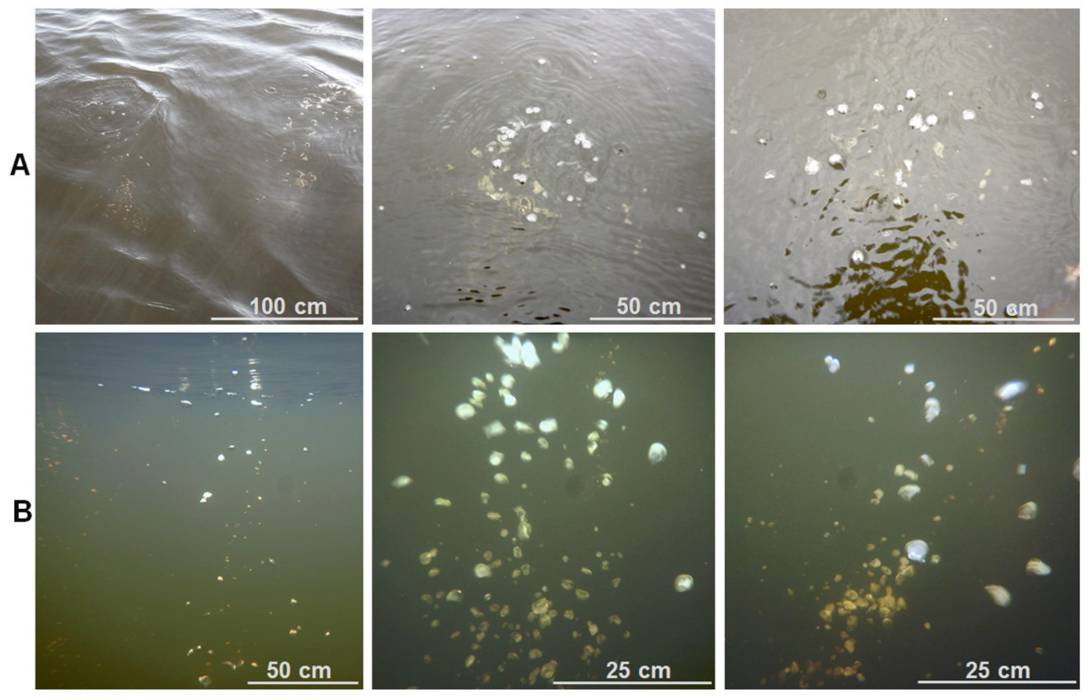 Energies 14 05345 g007