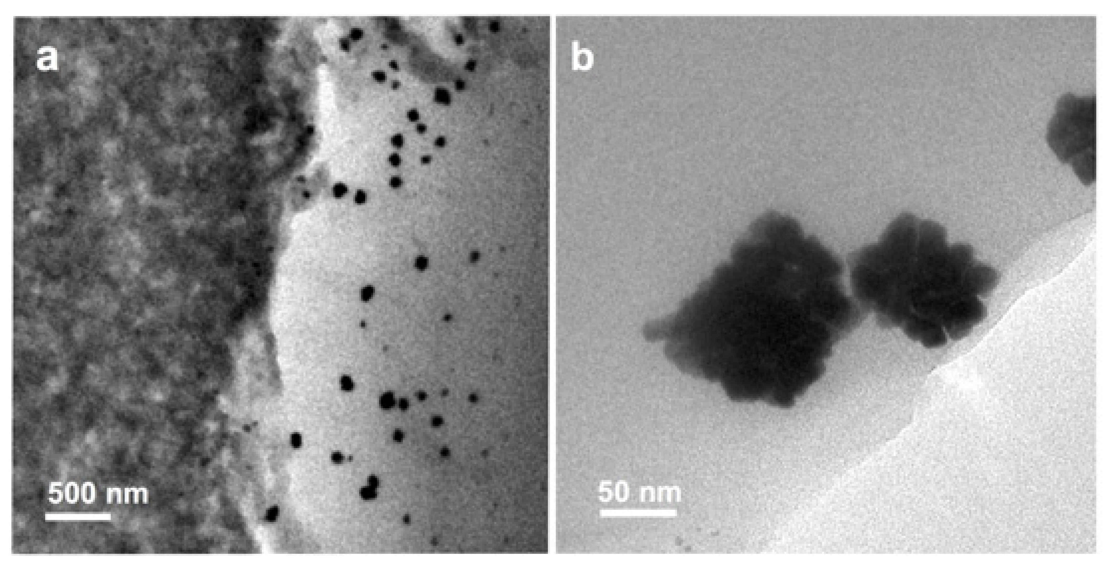 Energies 14 05440 g007 550