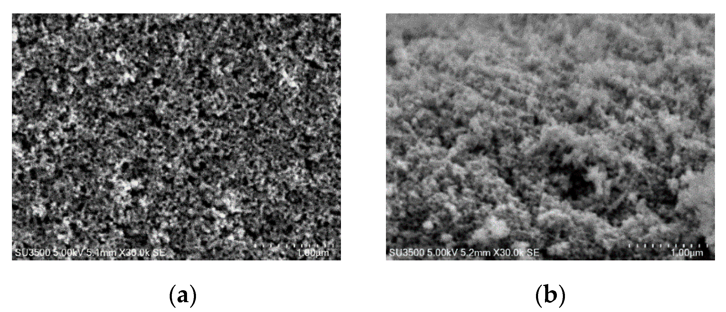 Energies 14 05529 g003