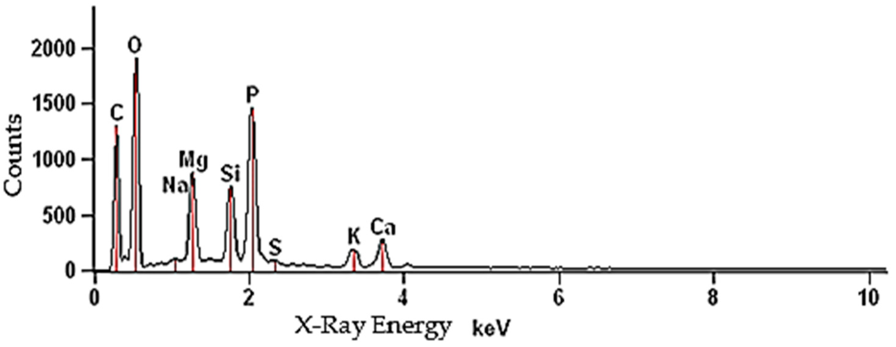 Energies 14 05543 g003 550