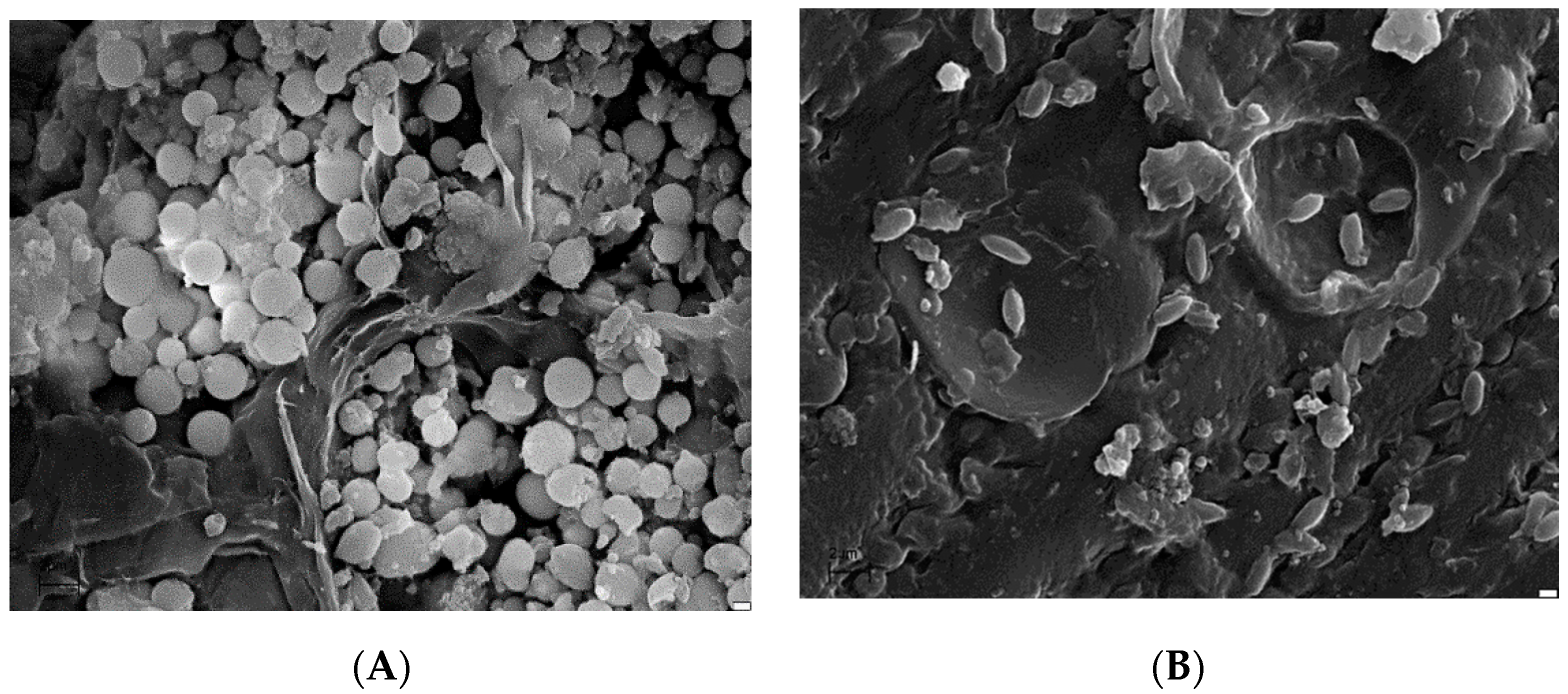 Energies 14 05543 g009 550