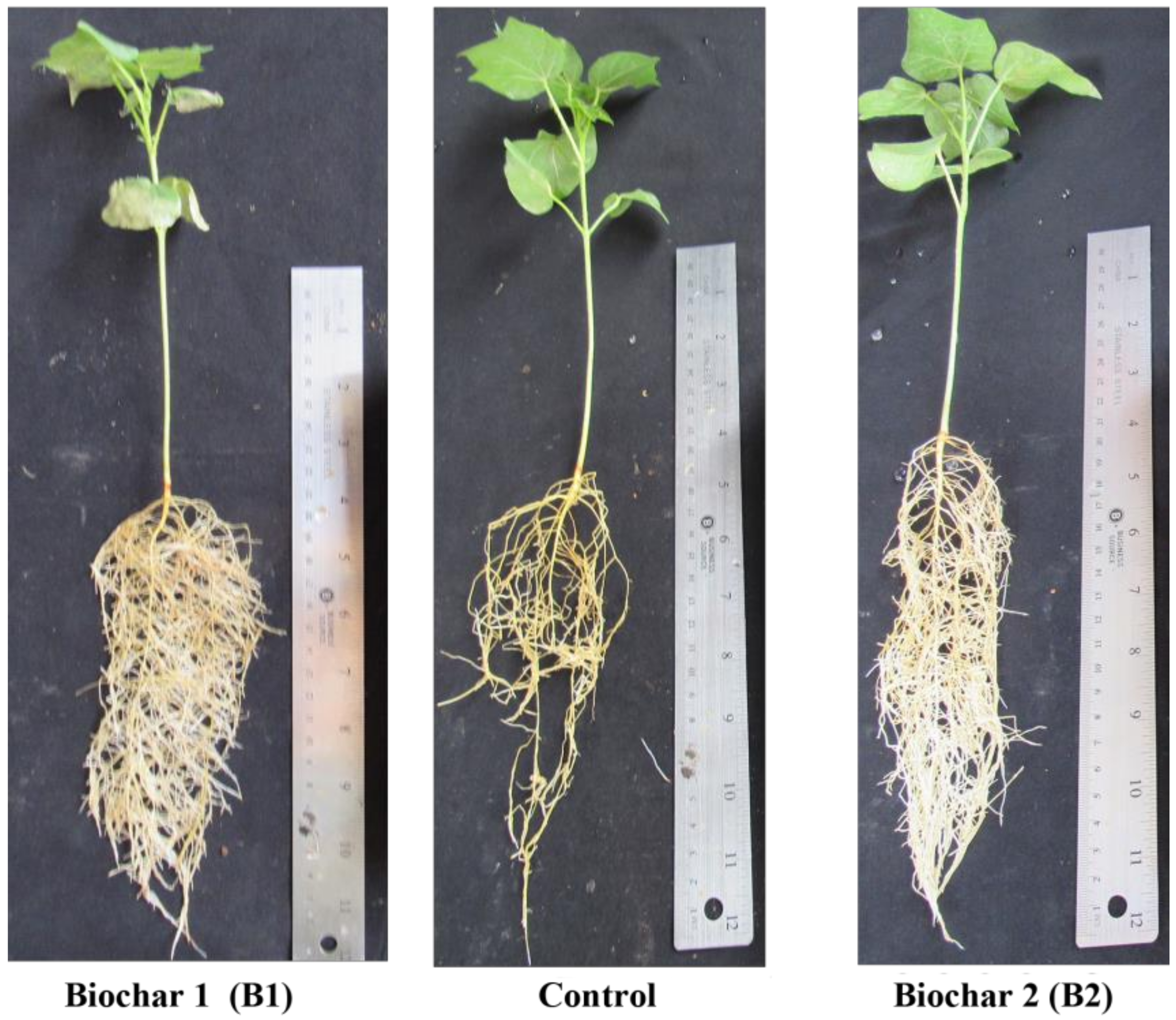 Energies 14 05763 g003