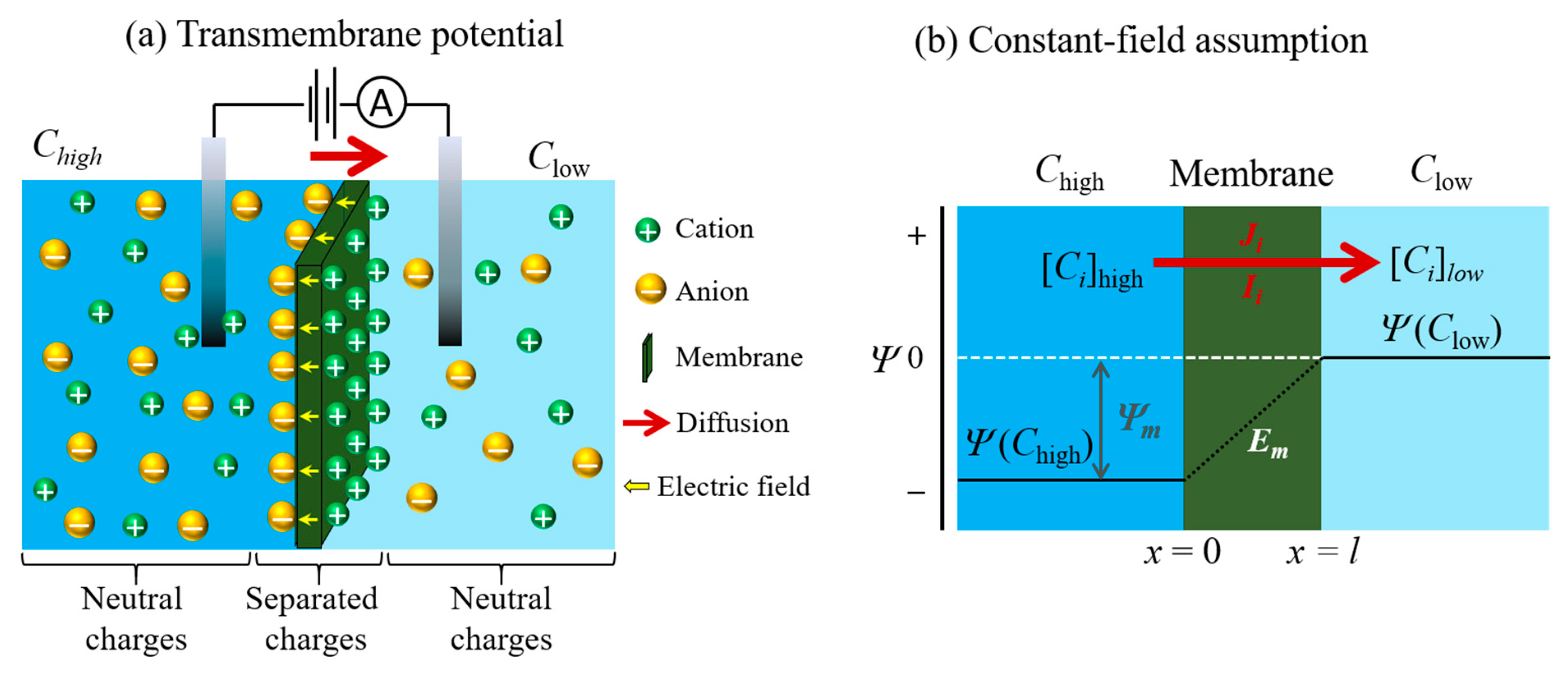 Energies 14 05819 g009 550
