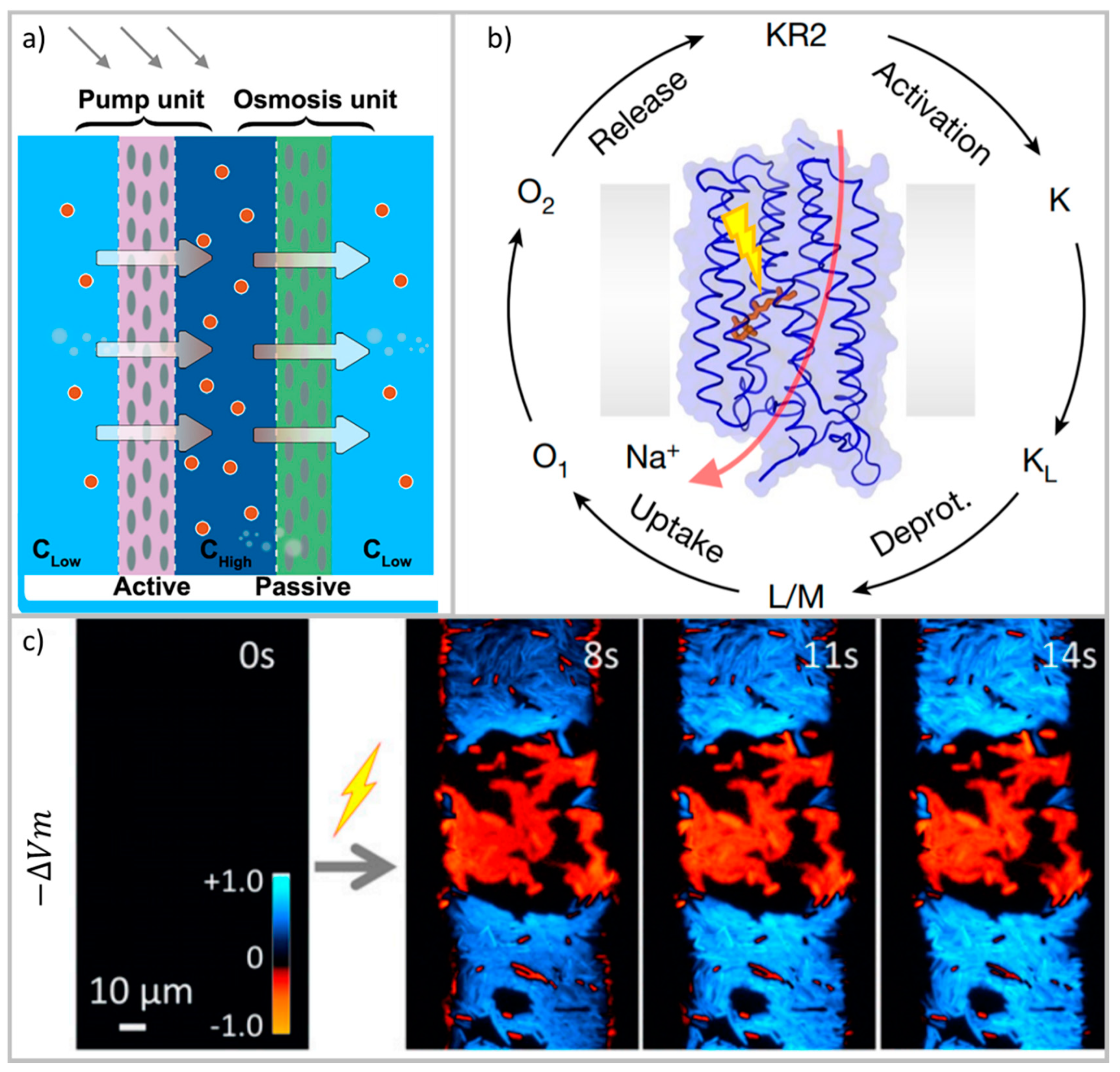 Energies 14 05819 g019 550