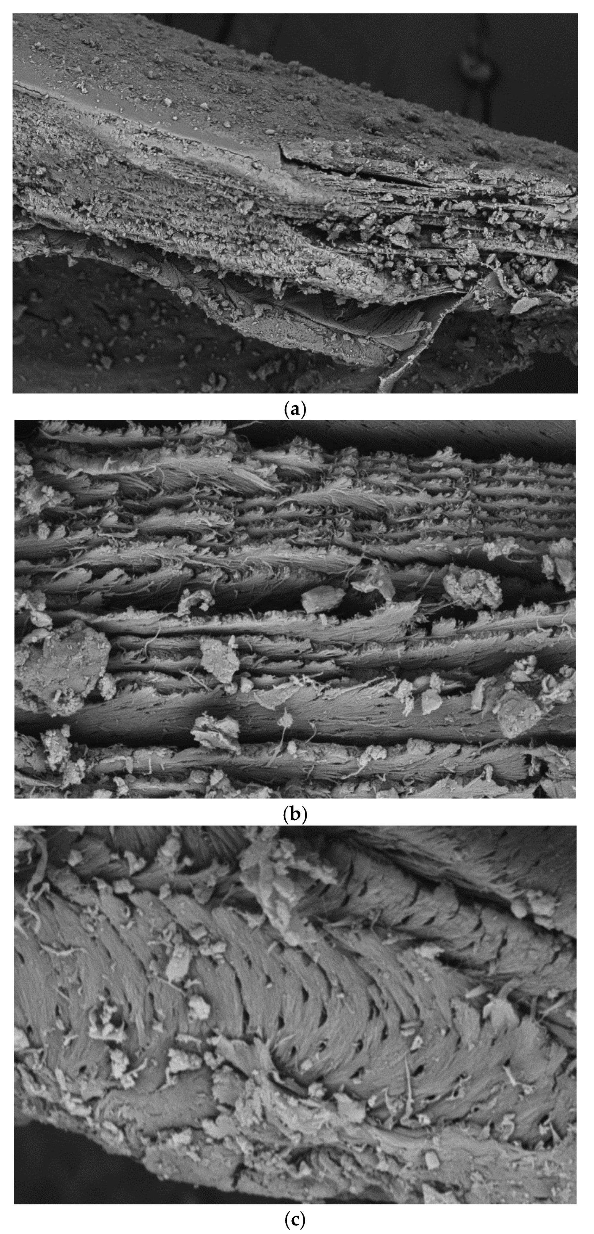 Energies 14 05876 g004