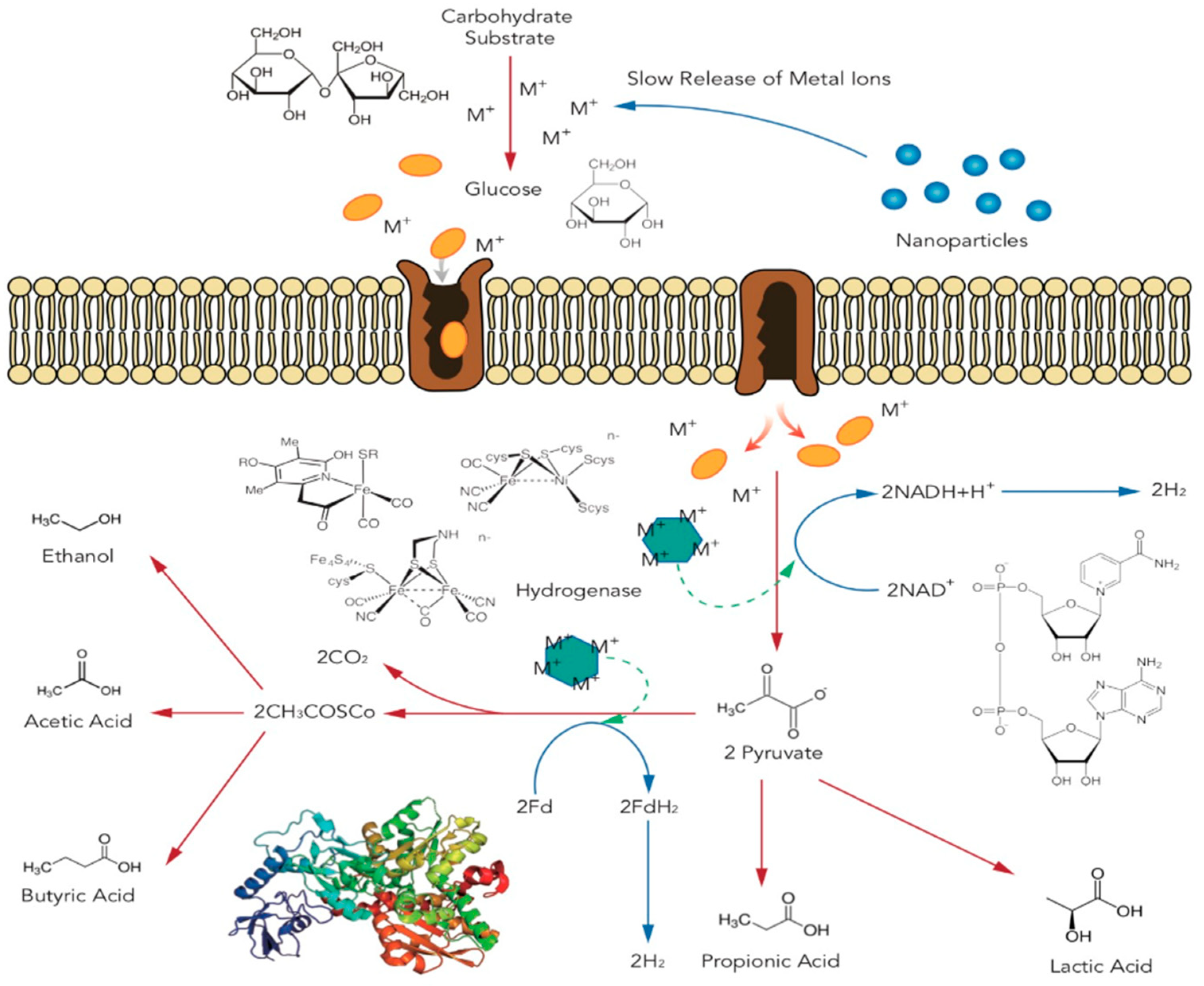 Energies 14 05916 g002