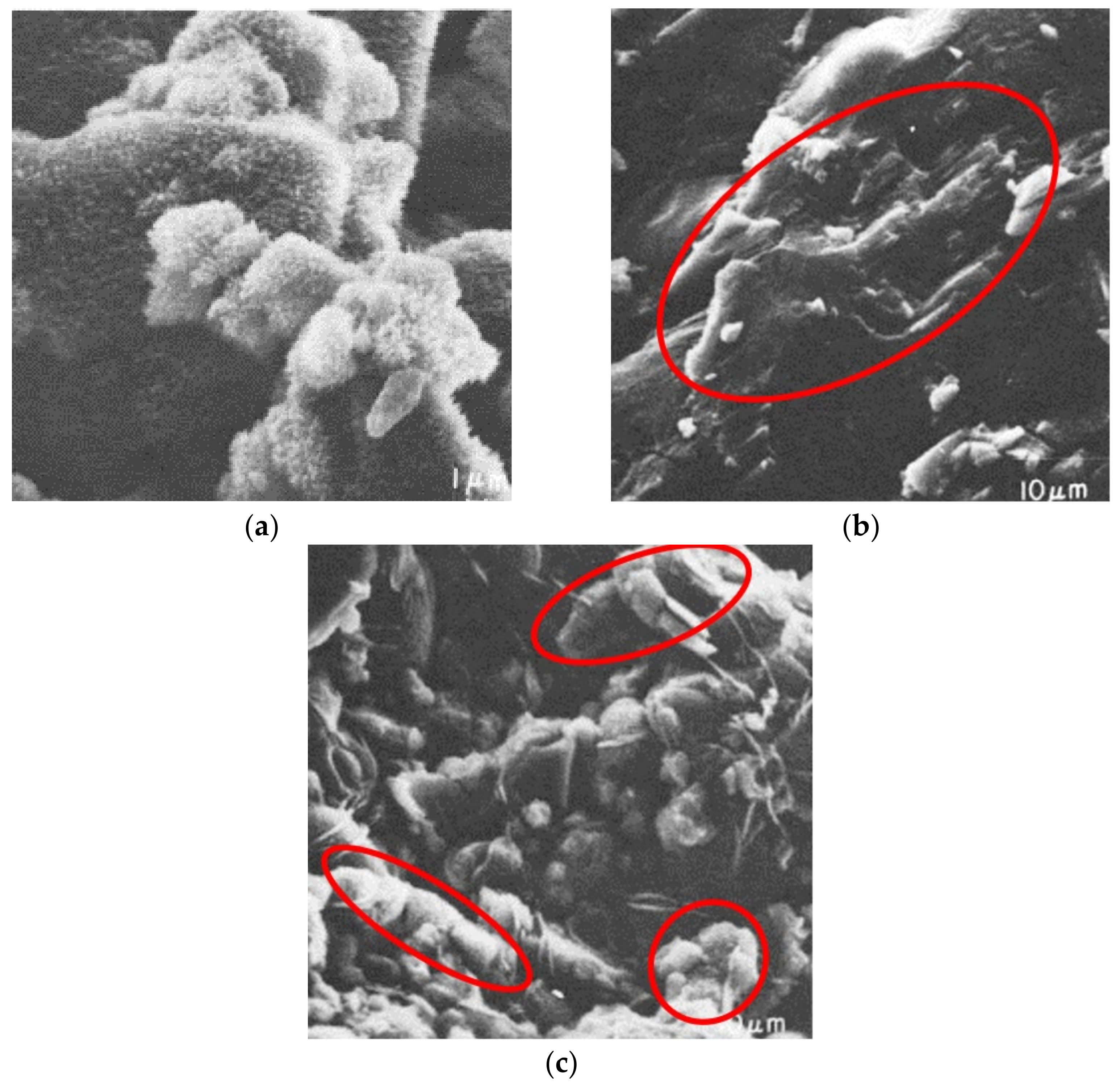 Energies 14 05965 g009