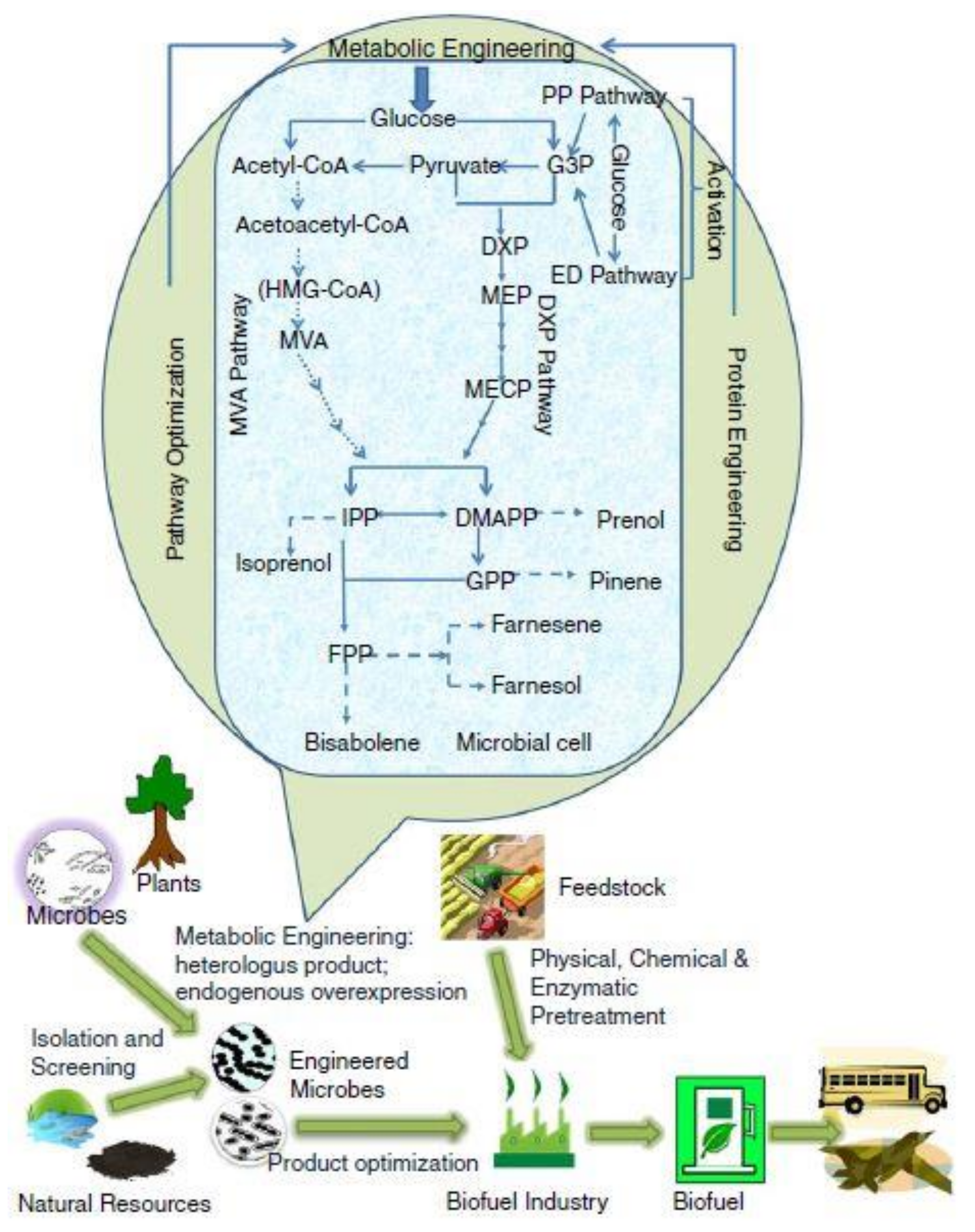 Energies 14 06011 g003