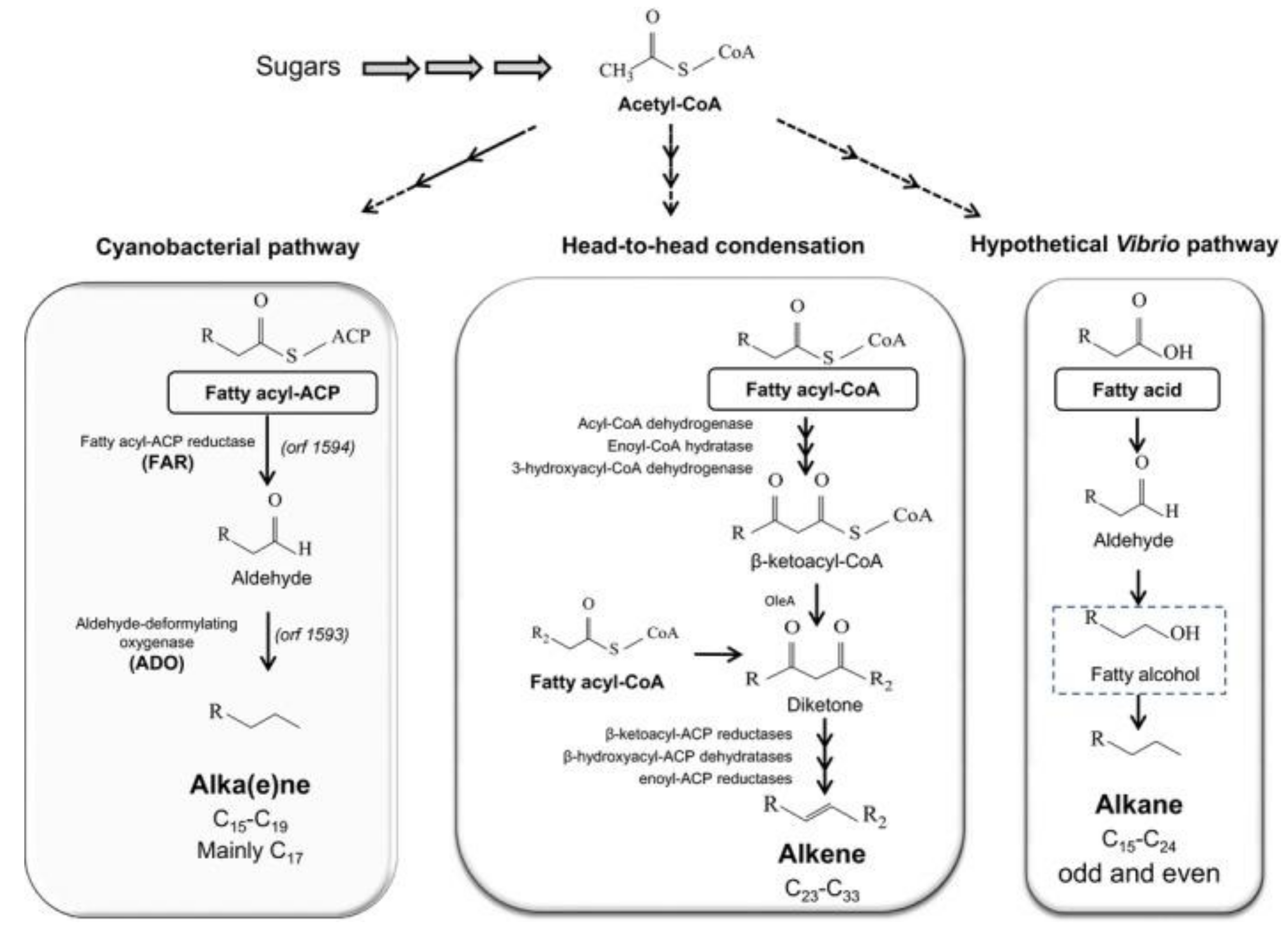 Energies 14 06011 g005