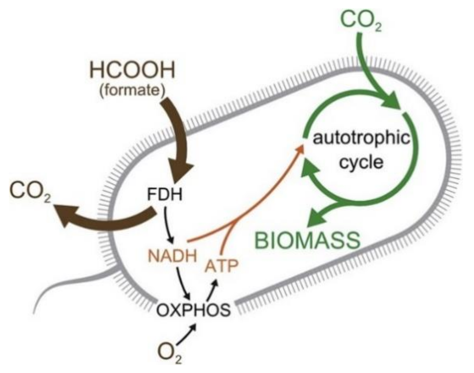 Energies 14 06011 g007