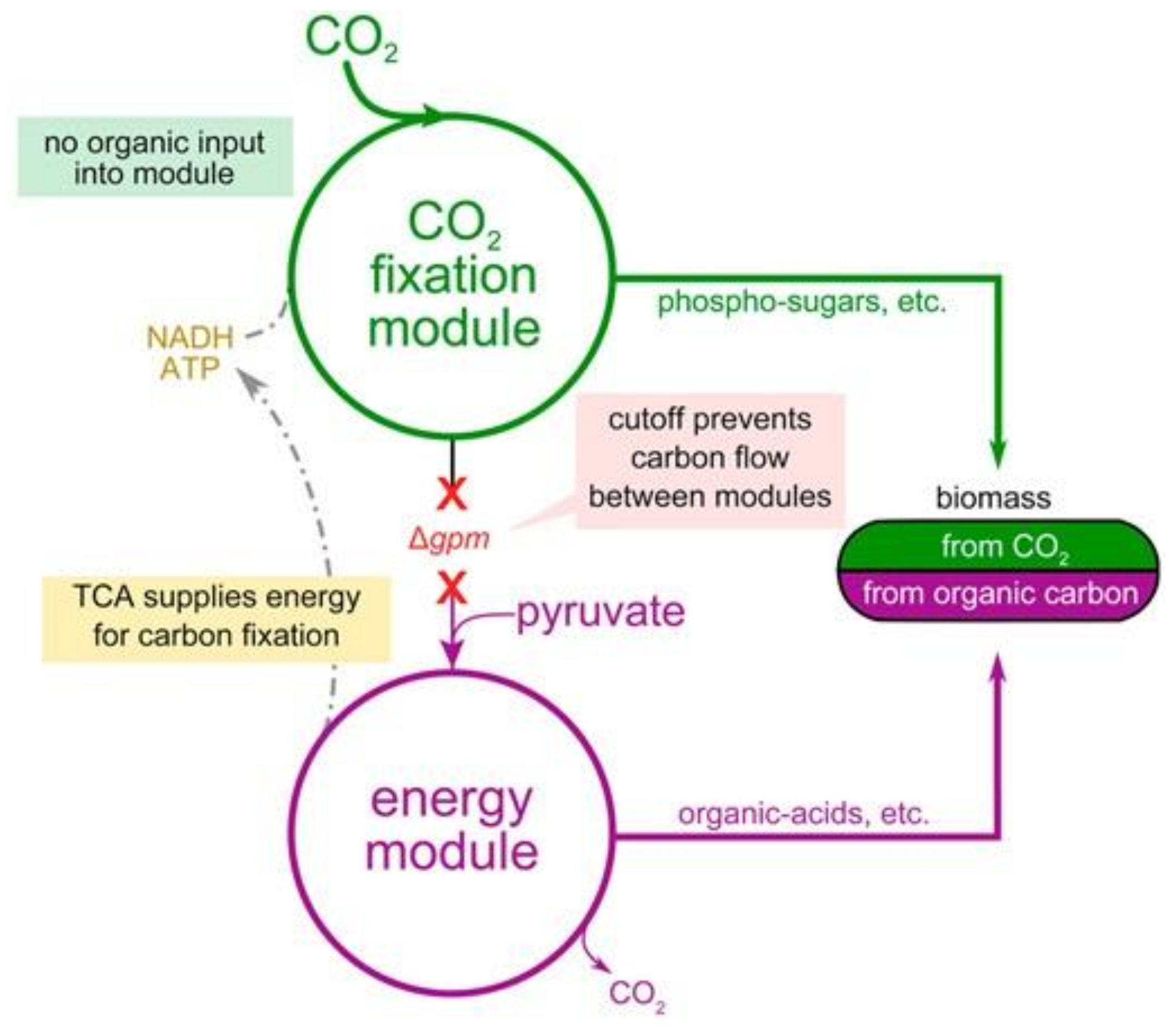 Energies 14 06011 g008