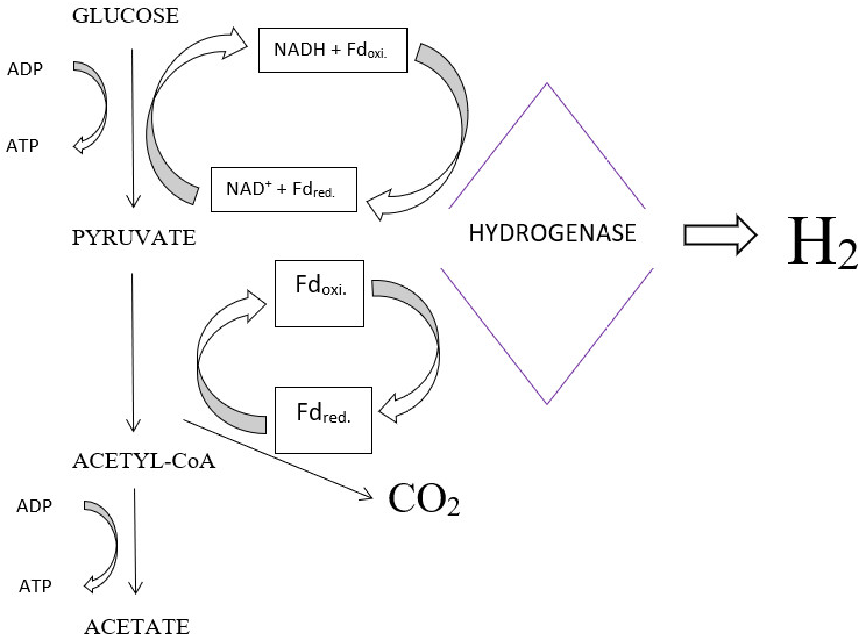 Energies 14 06025 g001