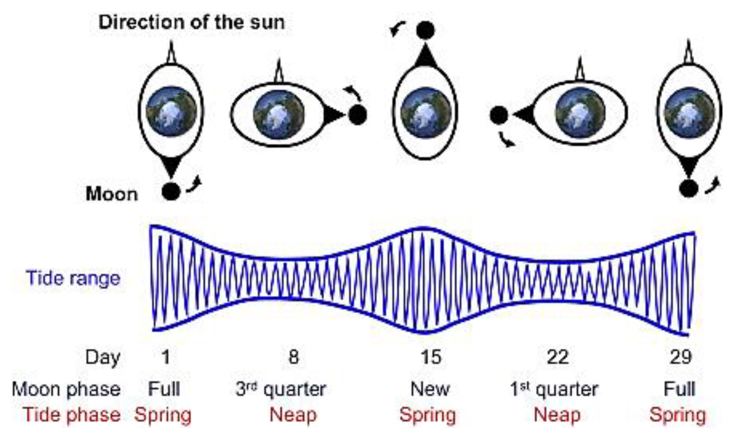 Energies 14 06123 g003