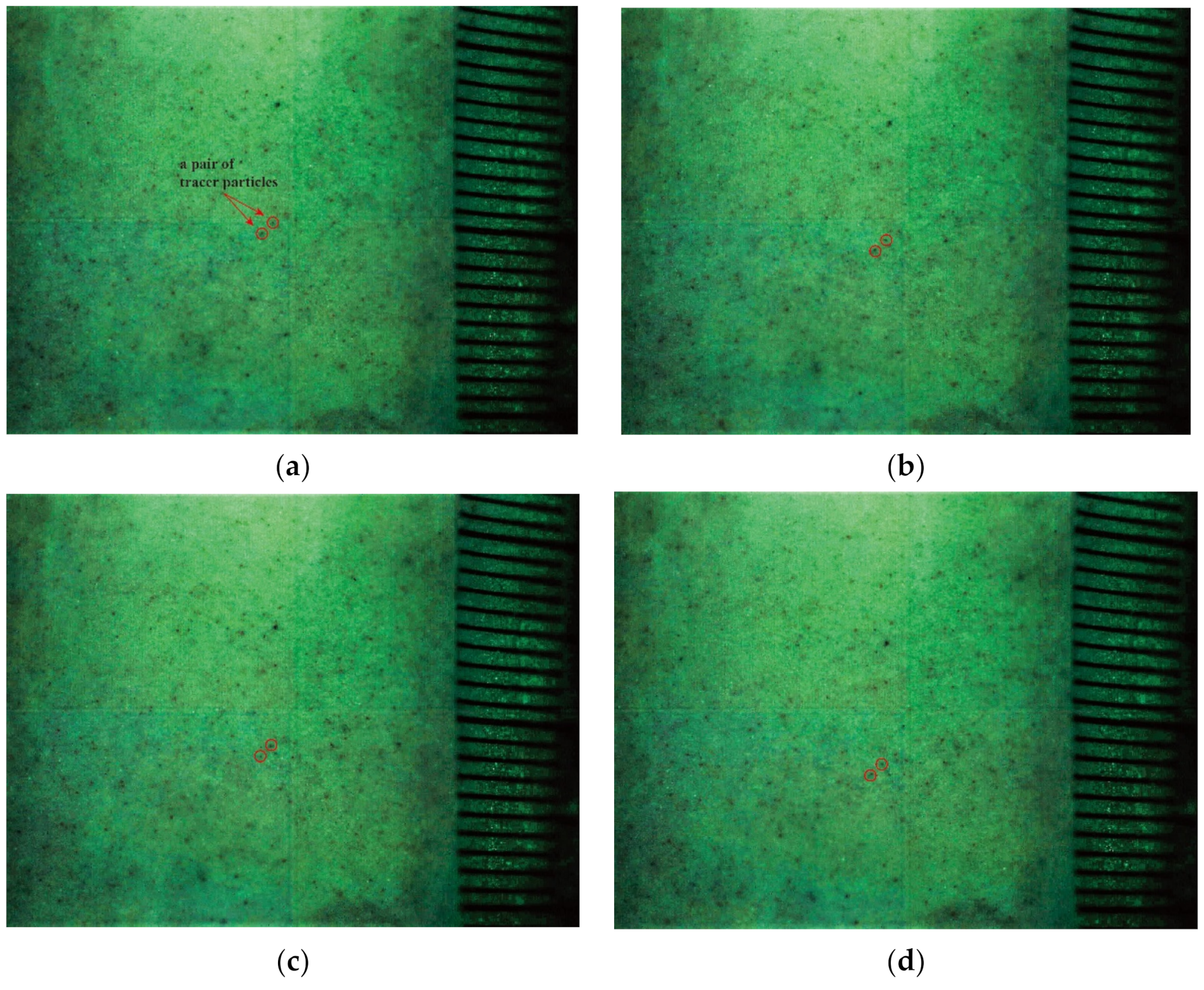 Energies 14 06162 g002