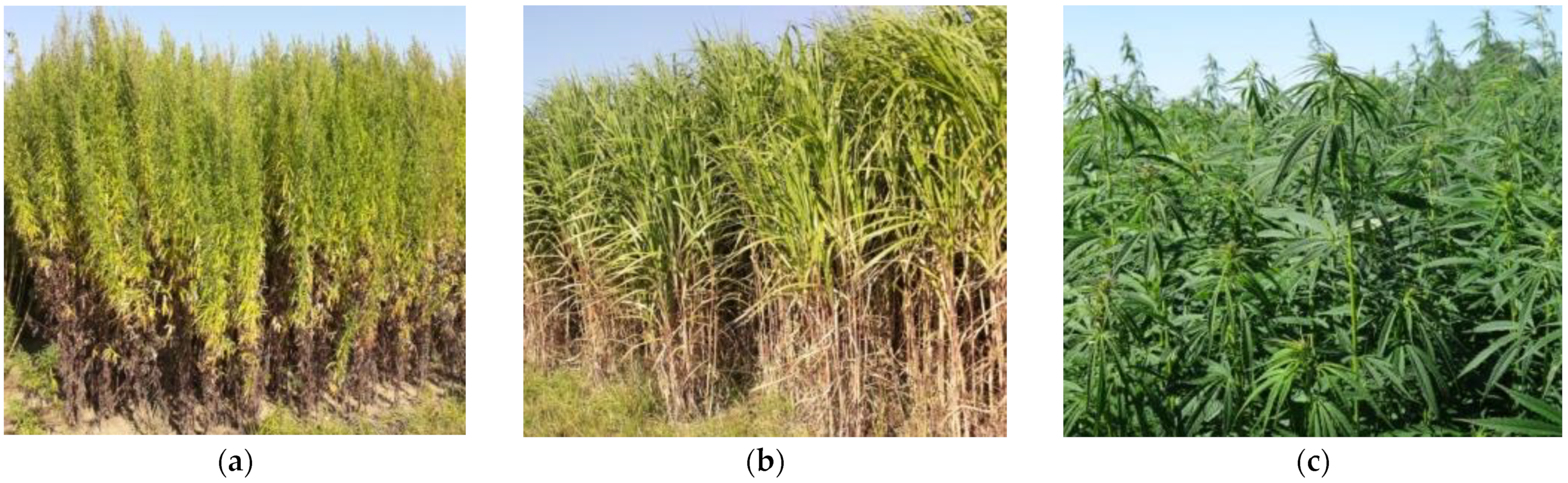 Energies 14 06380 g001 550