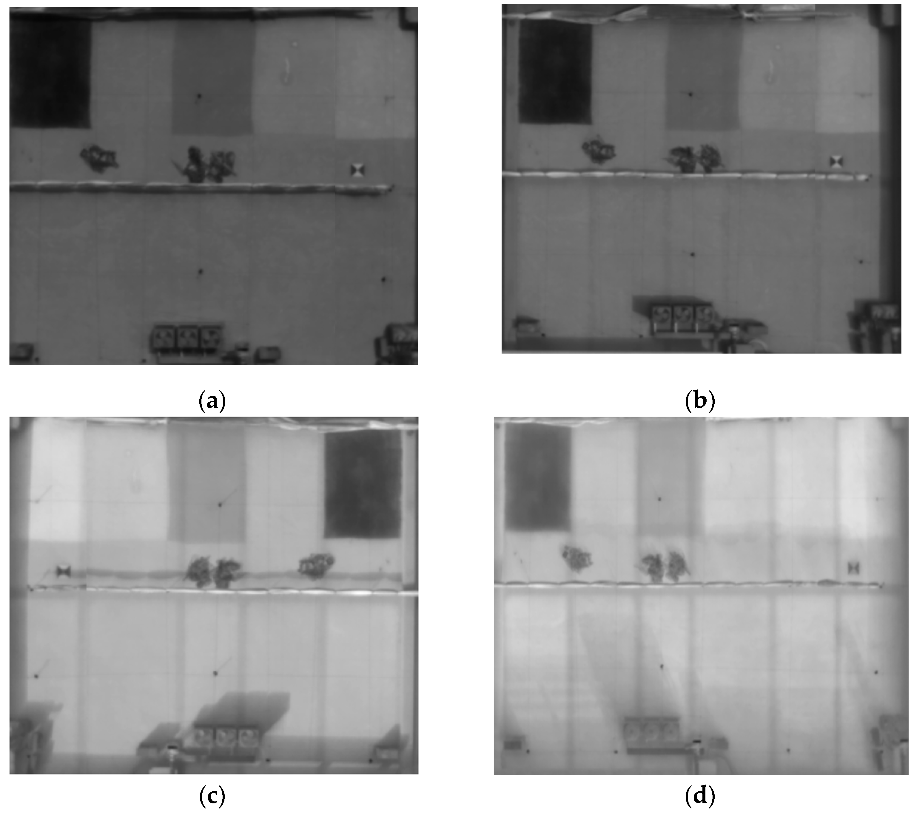 Energies 14 06488 g005