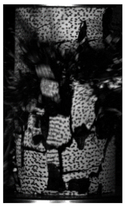 Energies 14 06616 i005 Energies 14 06616 i005