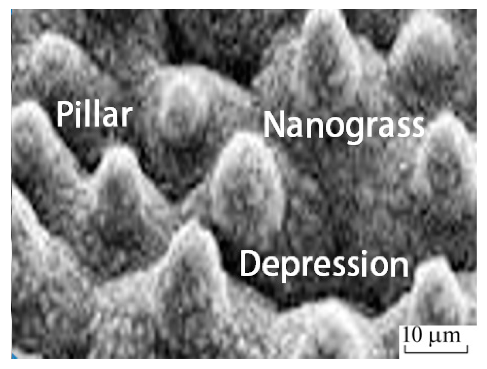 Energies 14 06750 g002