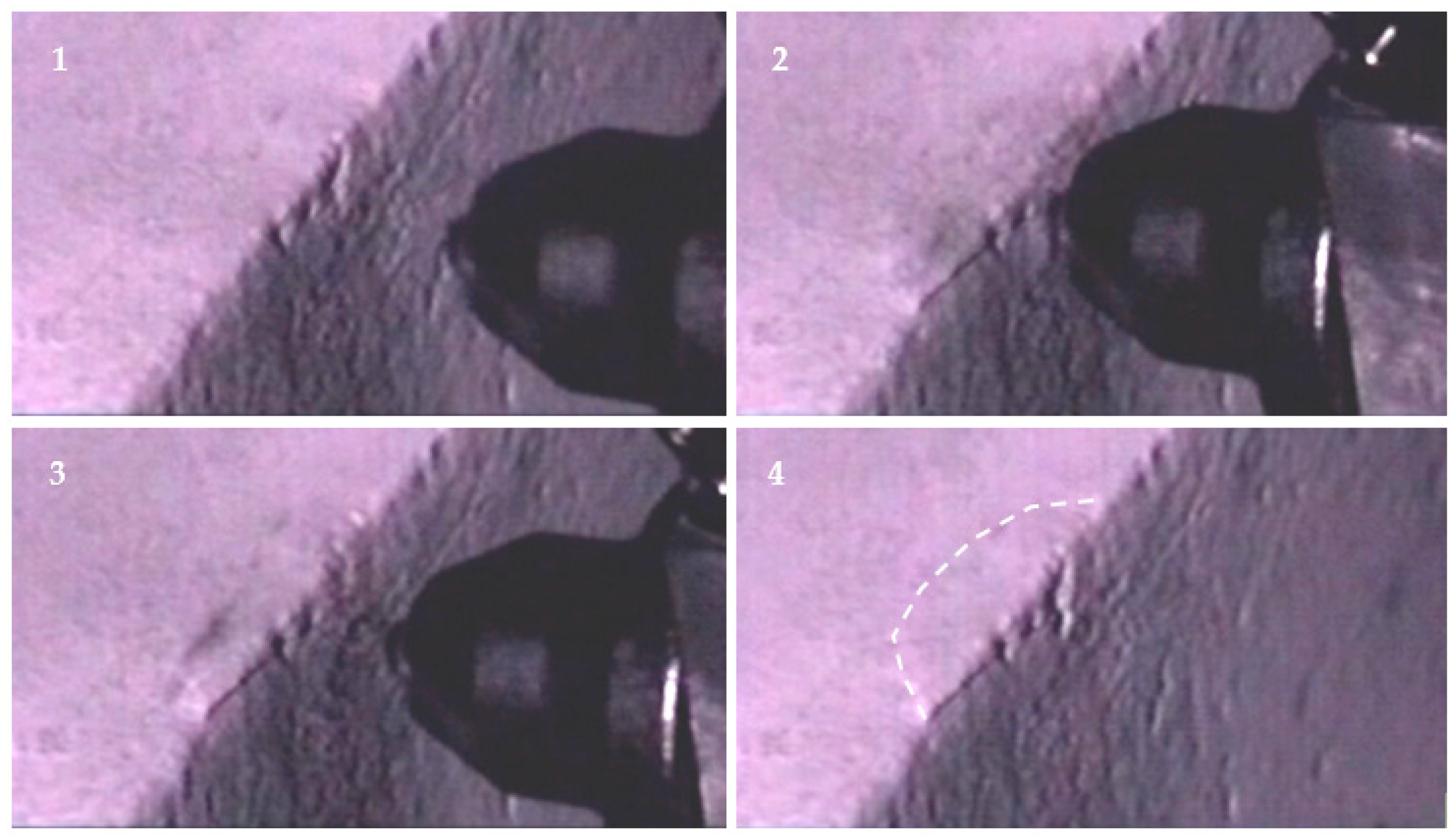 Energies 14 06831 g012