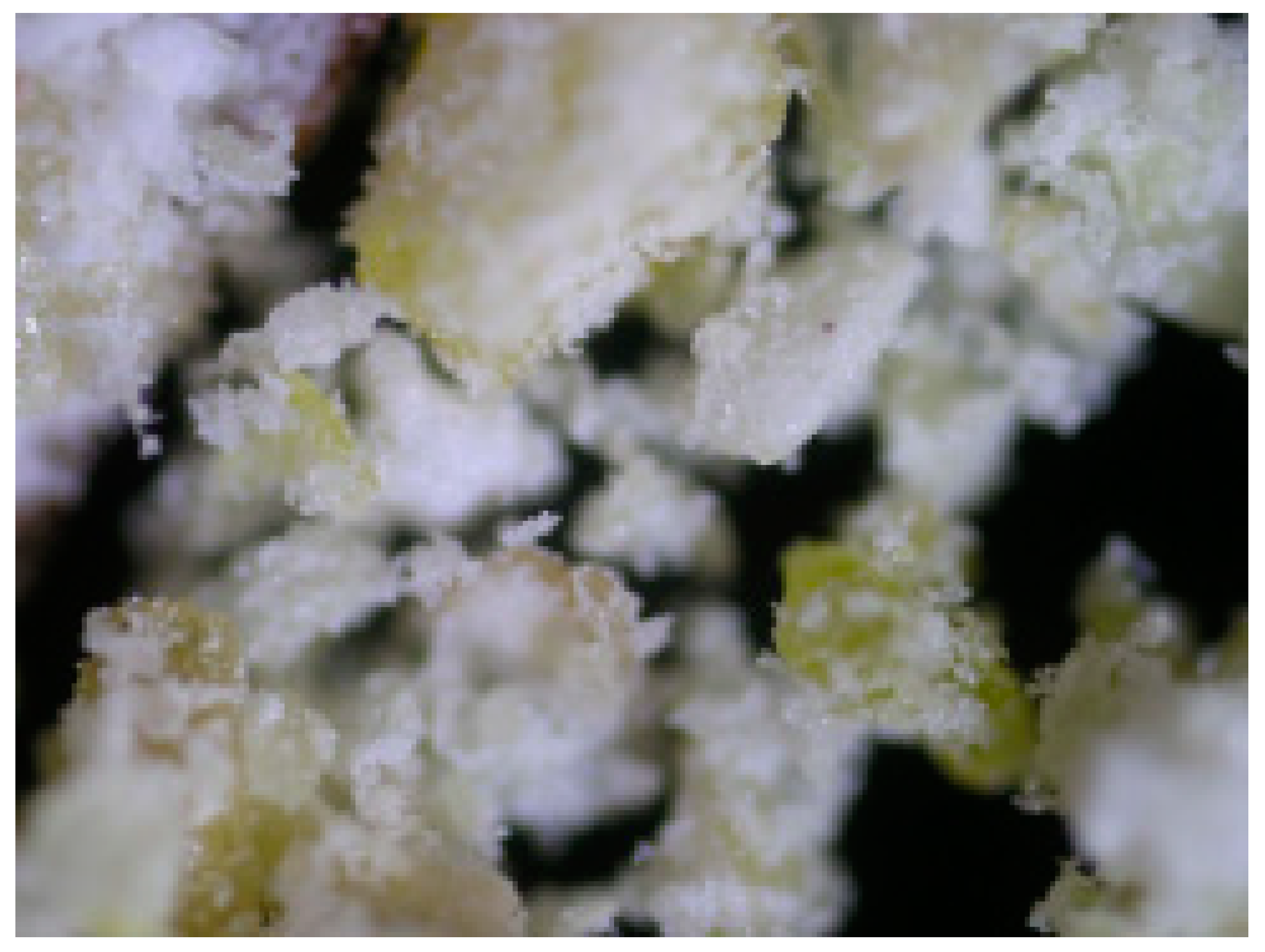 Energies 14 06997 g009 Energies 14 06997 g009