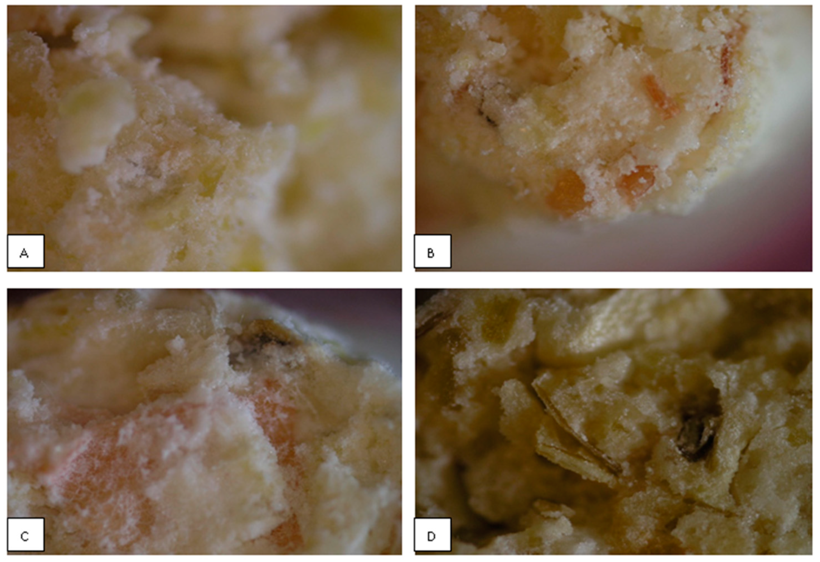 Energies 14 06997 g010 Energies 14 06997 g010