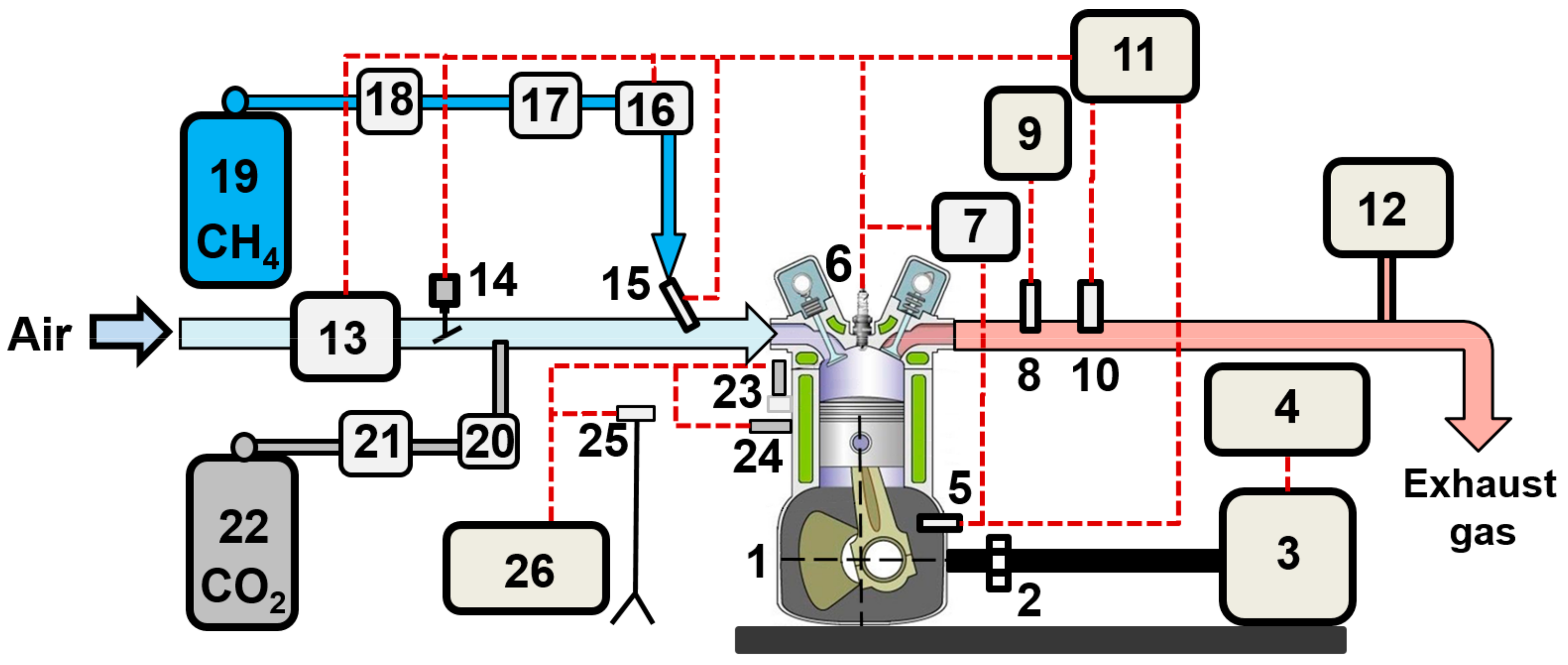 Impact of Simulated Biogas Compositions (CH4 and CO2) on