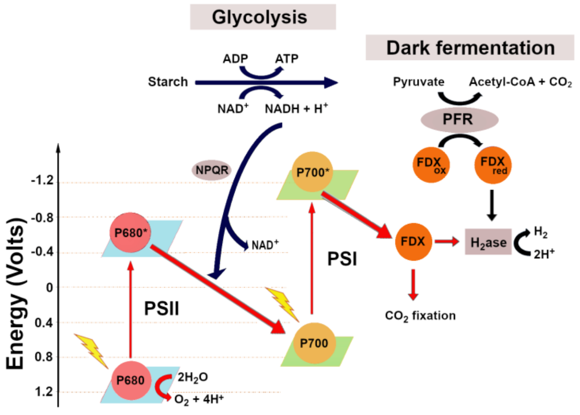 Energies 14 07170 g001