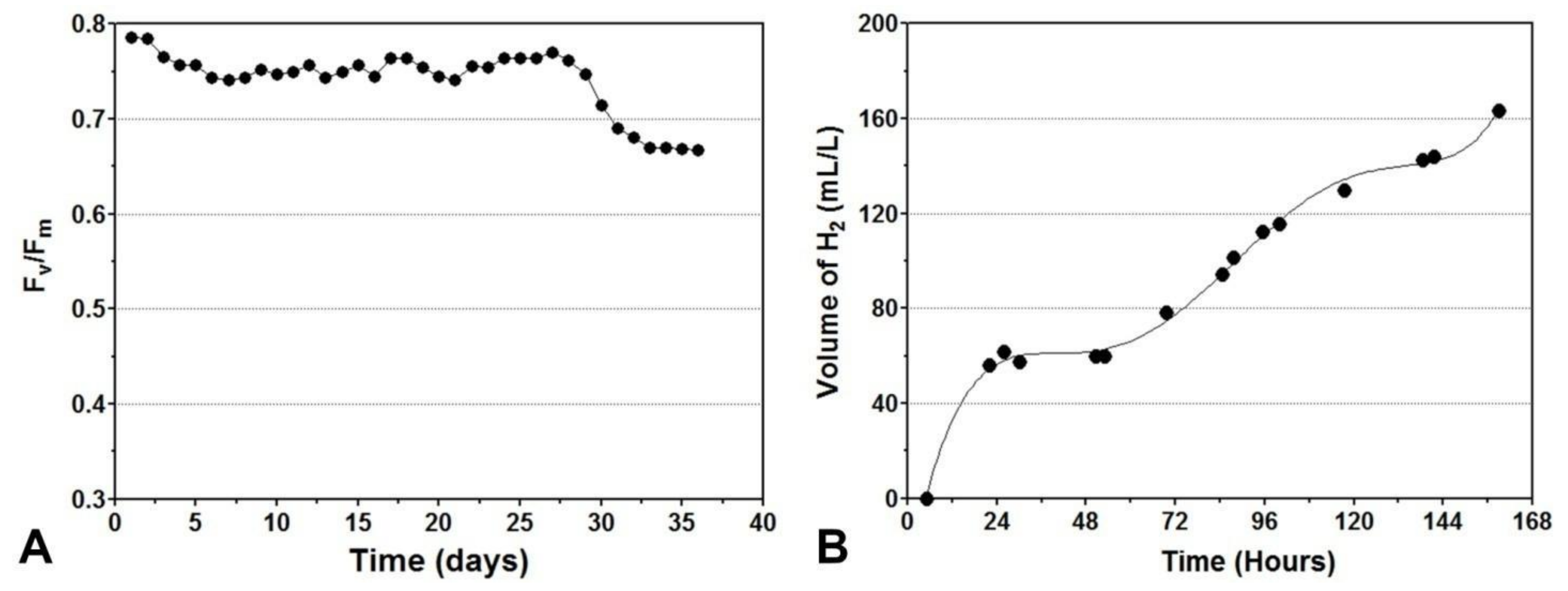 Energies 14 07170 g003