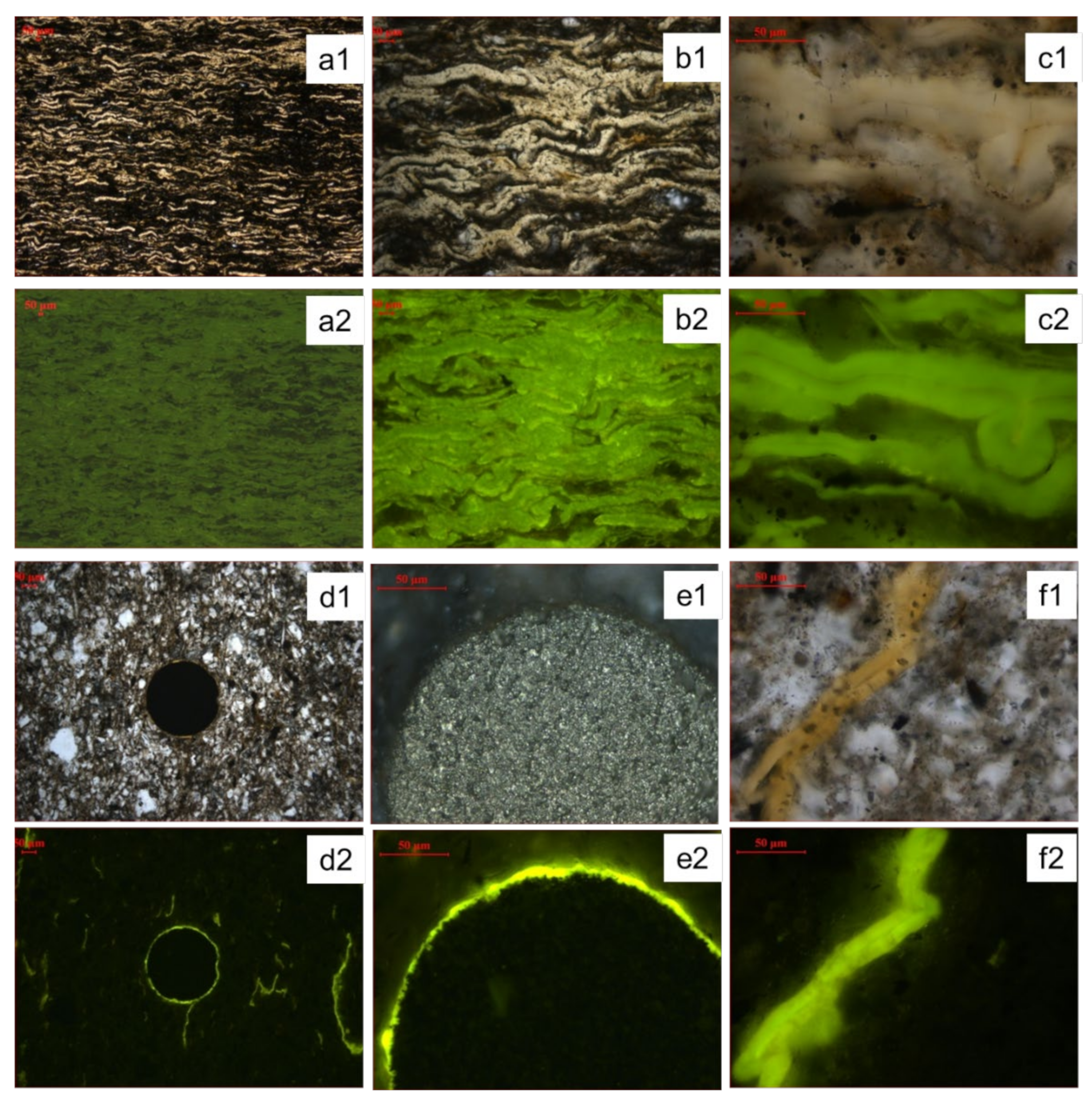 Energies 14 07218 g002