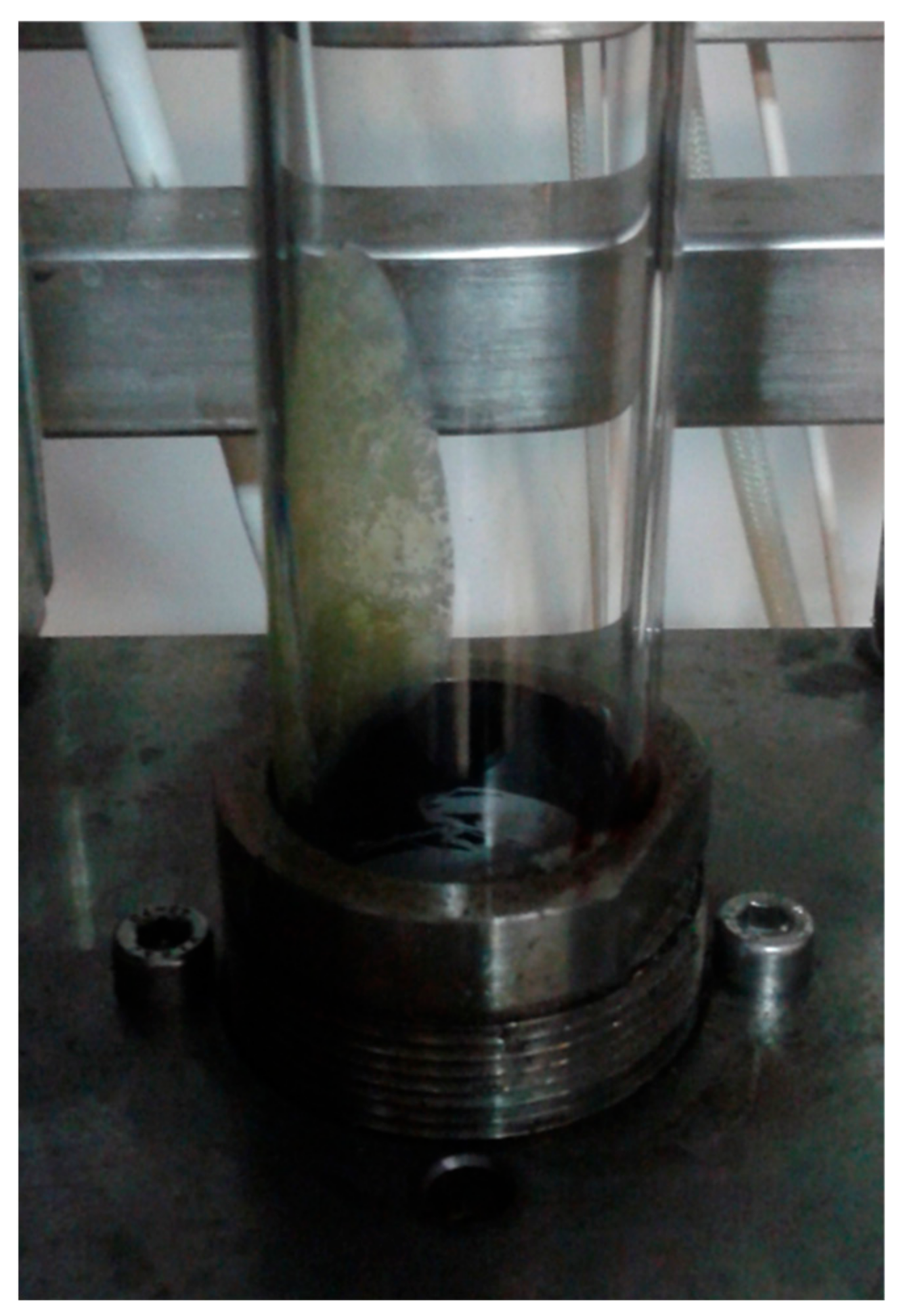 Energies 14 07383 g005