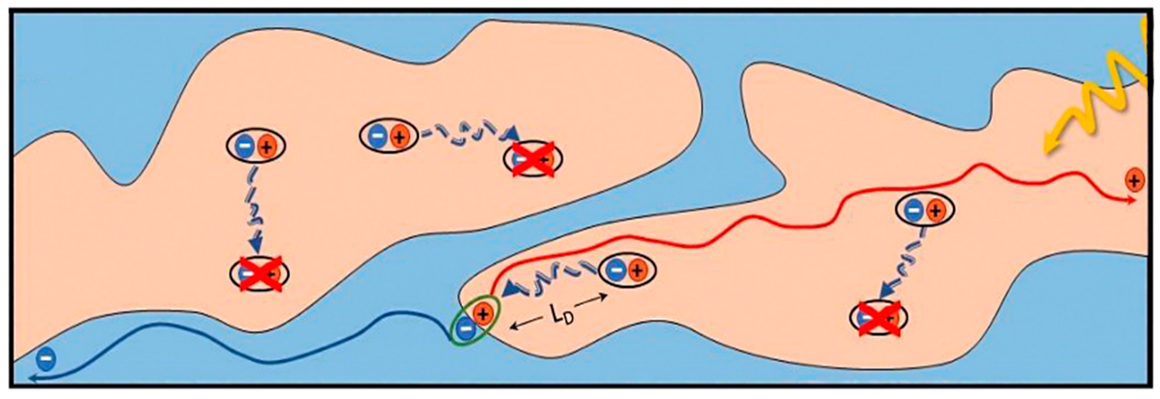 Recent Advances of Film–Forming Kinetics in Organic Solar Cells