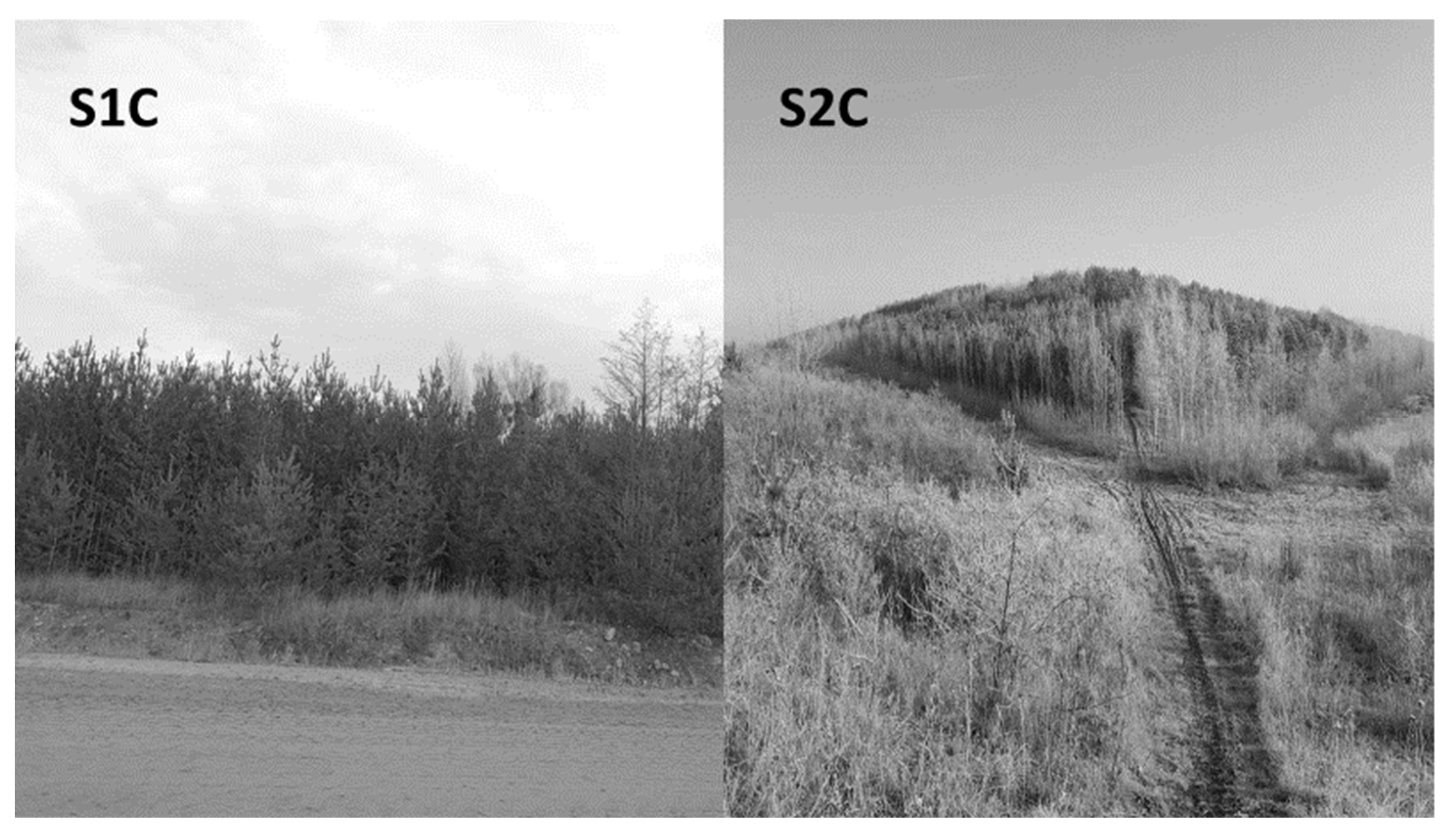 Energies 14 07613 g001