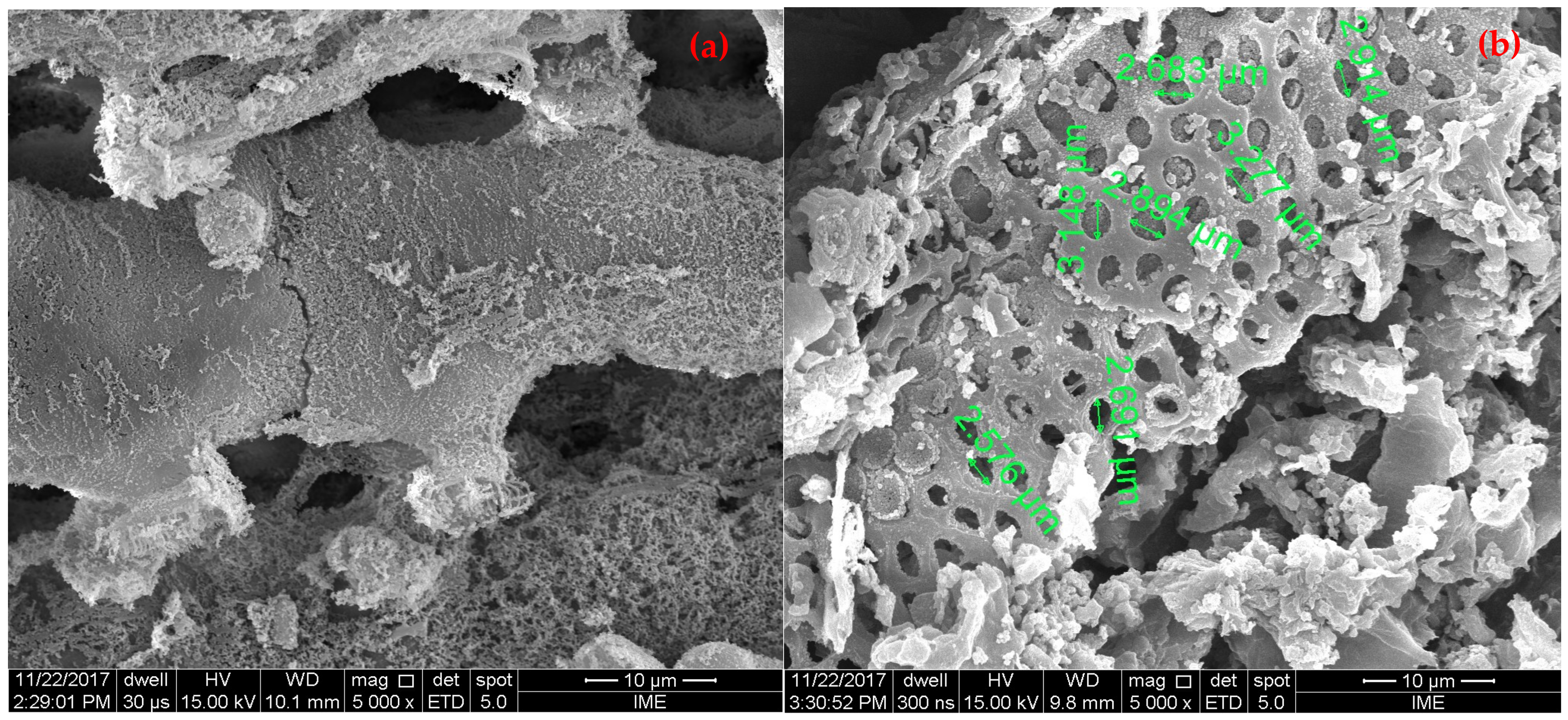 Energies 14 08154 g005 Energies 14 08154 g005
