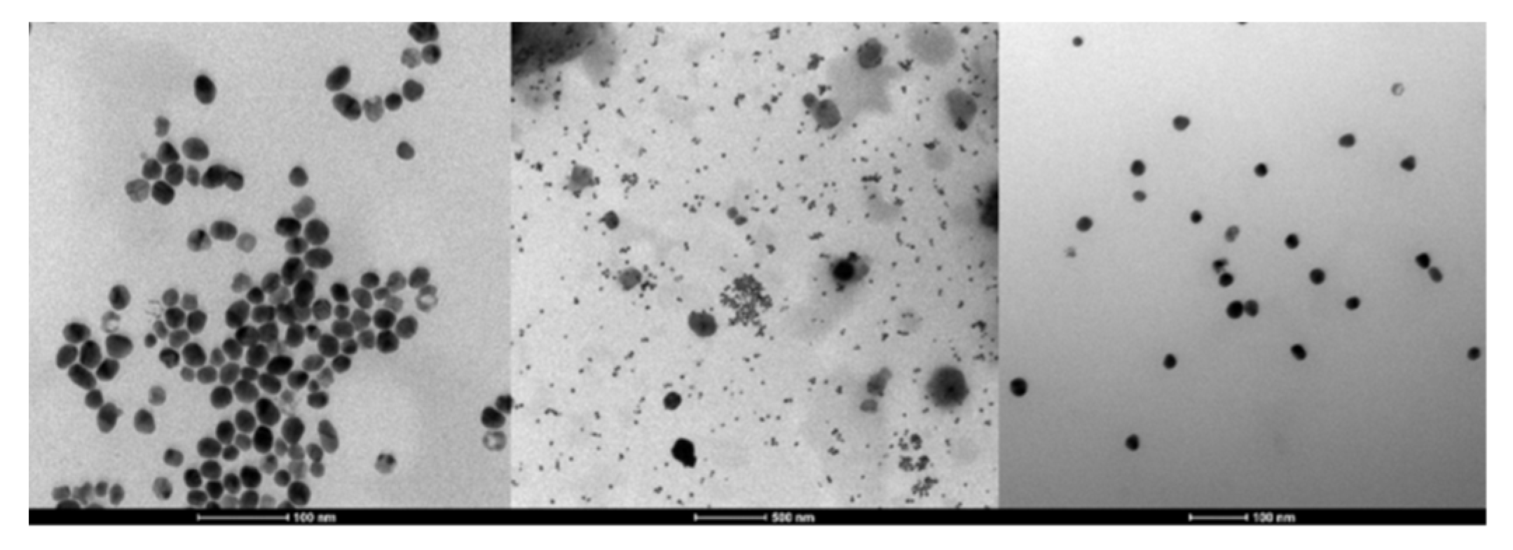 Energies 14 08186 g004 550