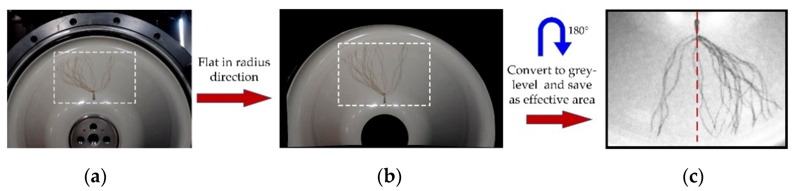 Energies 14 08253 g004