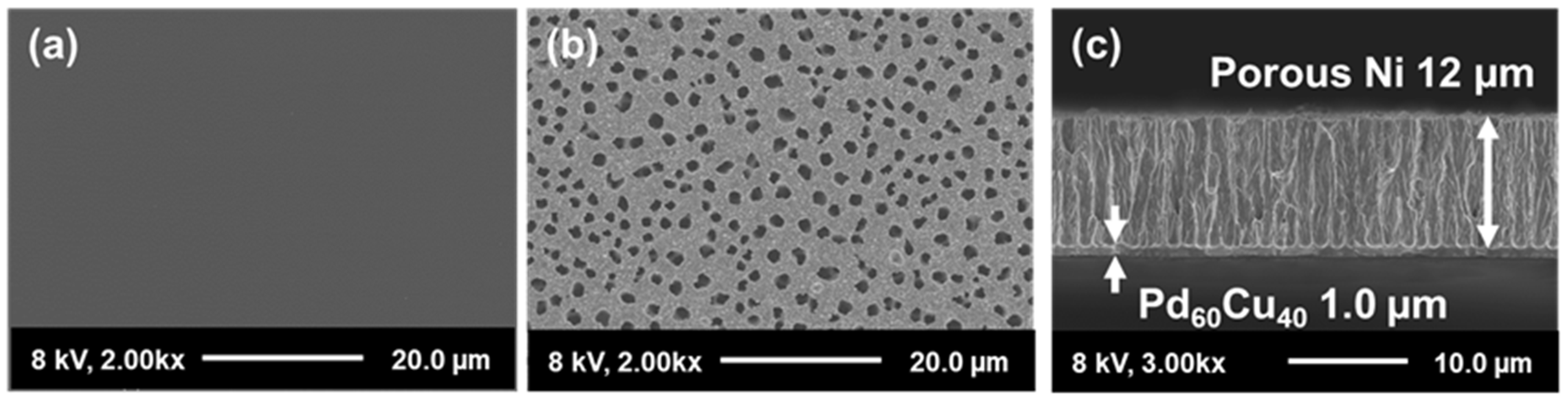 Energies 14 08262 g002