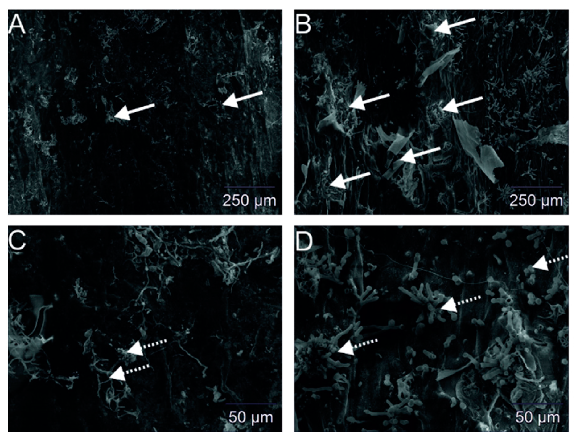 Energies 14 08307 g006 Energies 14 08307 g006