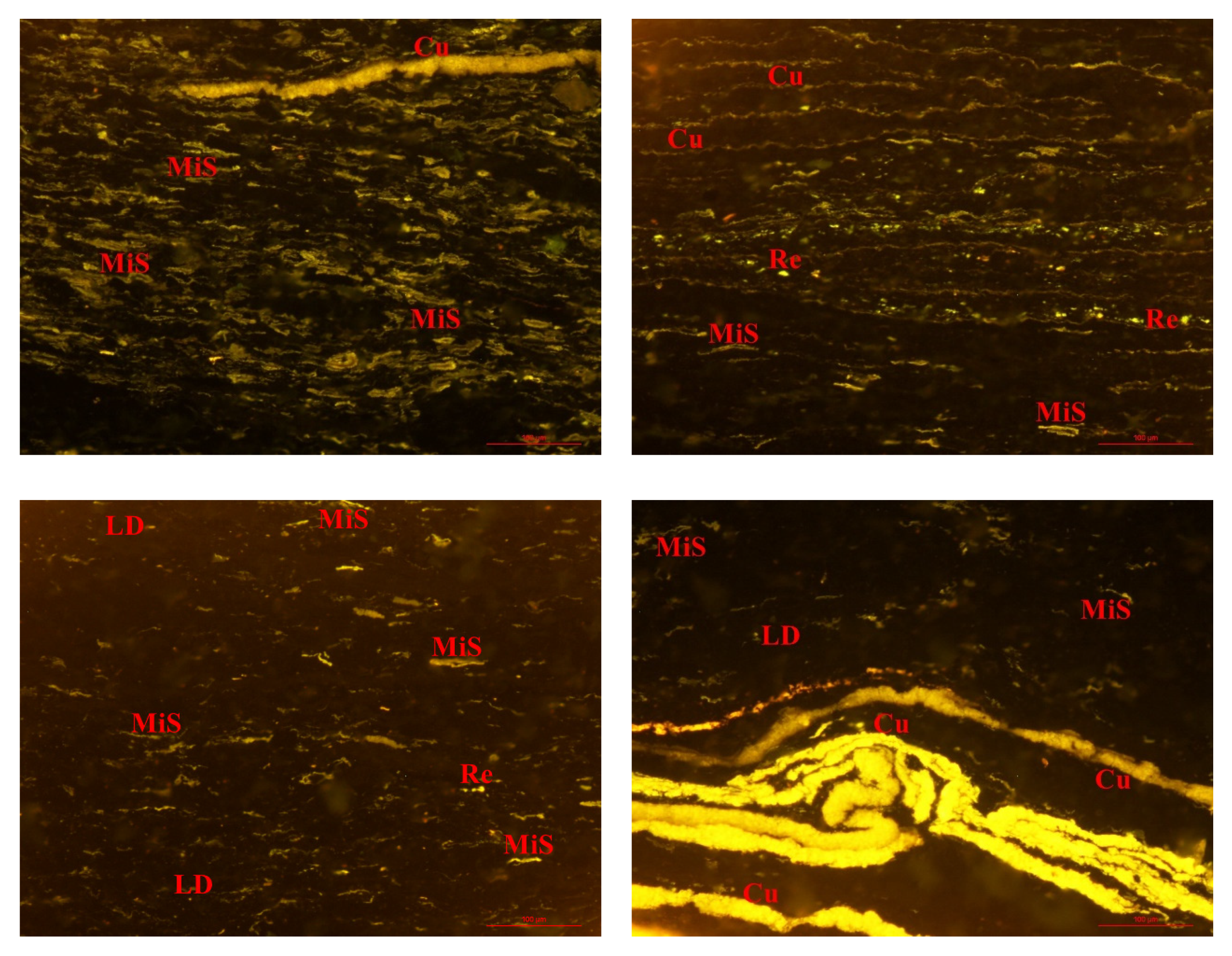 Energies 15 00081 g003a