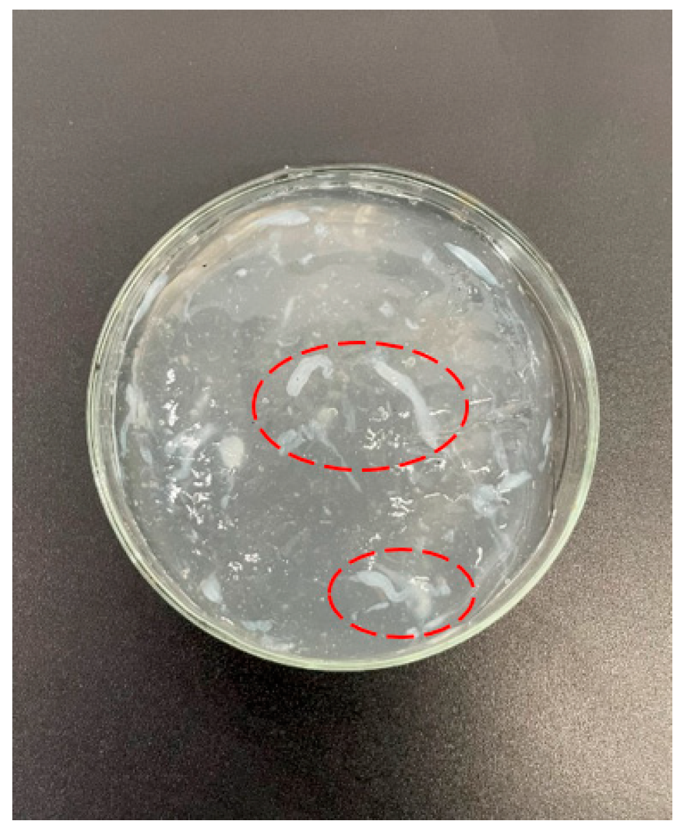 Energies 15 00153 g004