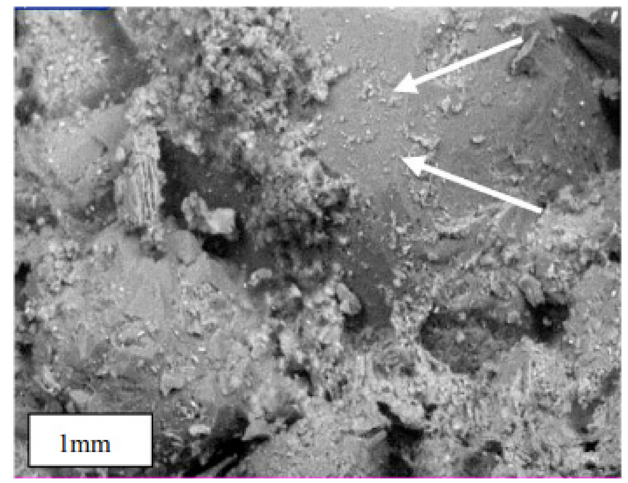 Energies 15 00162 g007 Energies 15 00162 g007